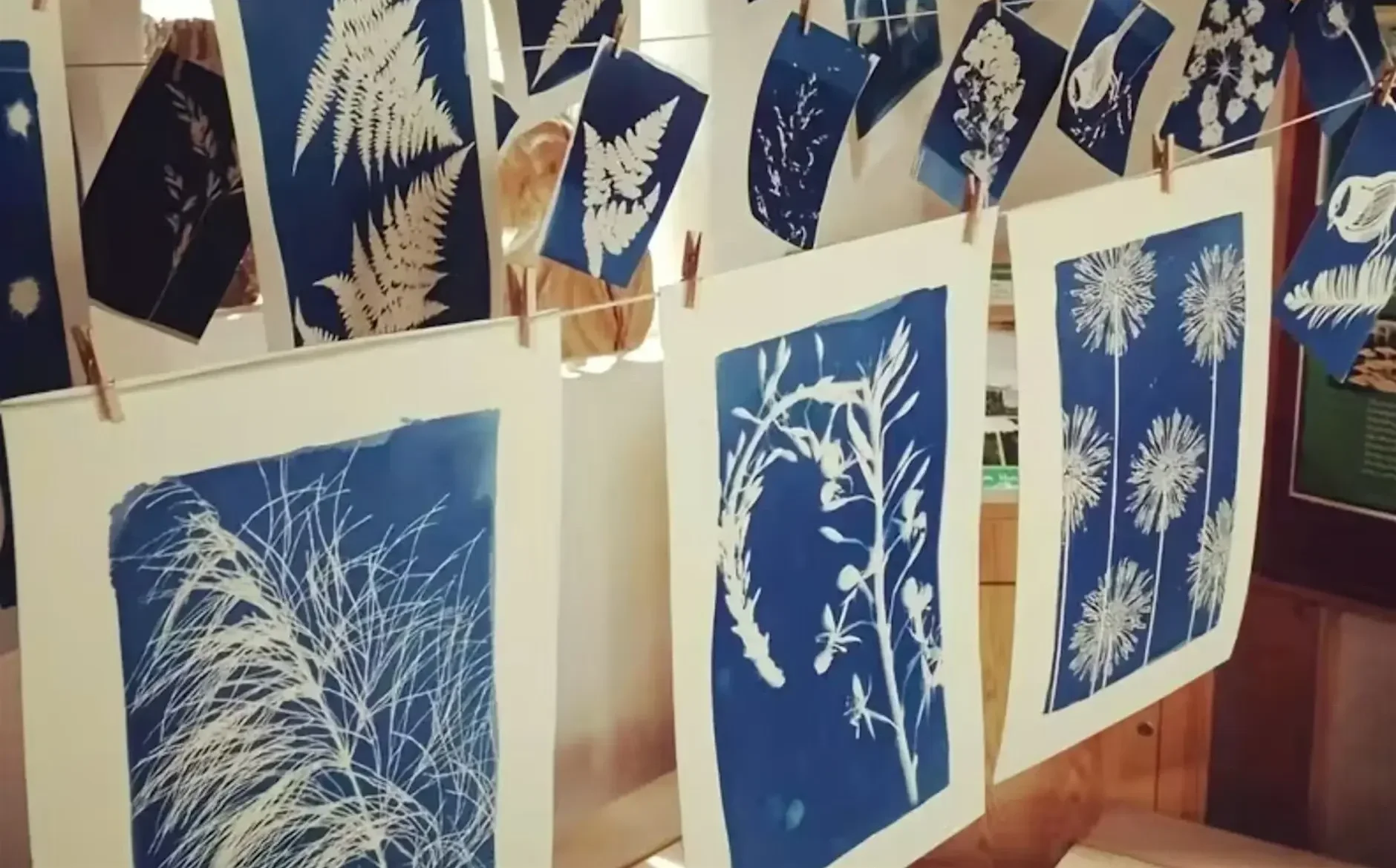 Share this eventCyanotype &amp; Early Photography: Botanical Sun Printing Workshop