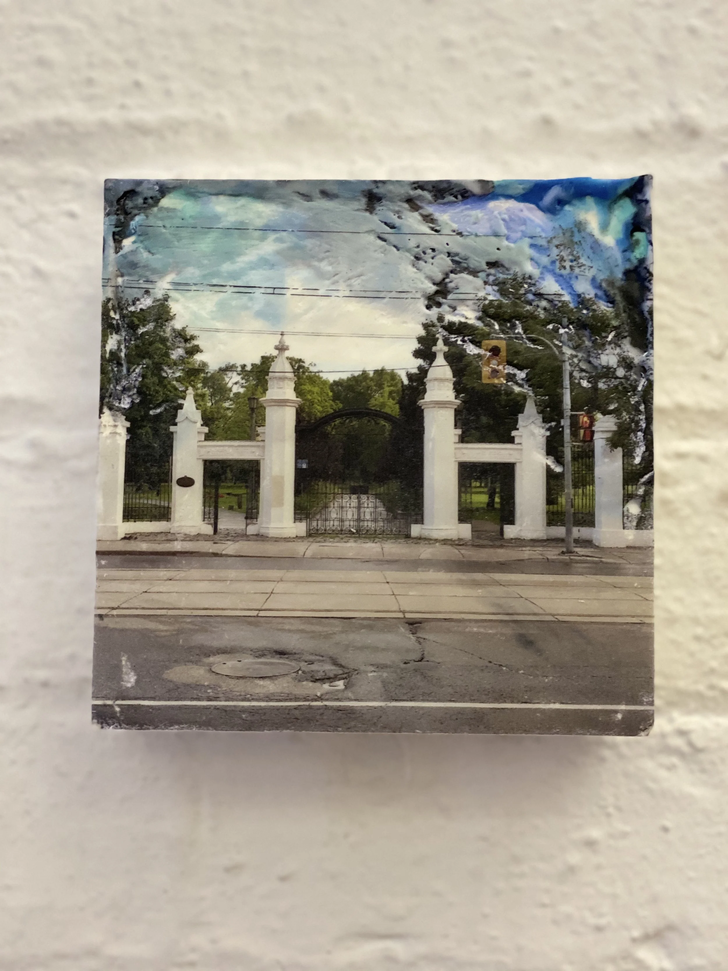 TRINITY BELLWOOD_IMG_5249.jpg