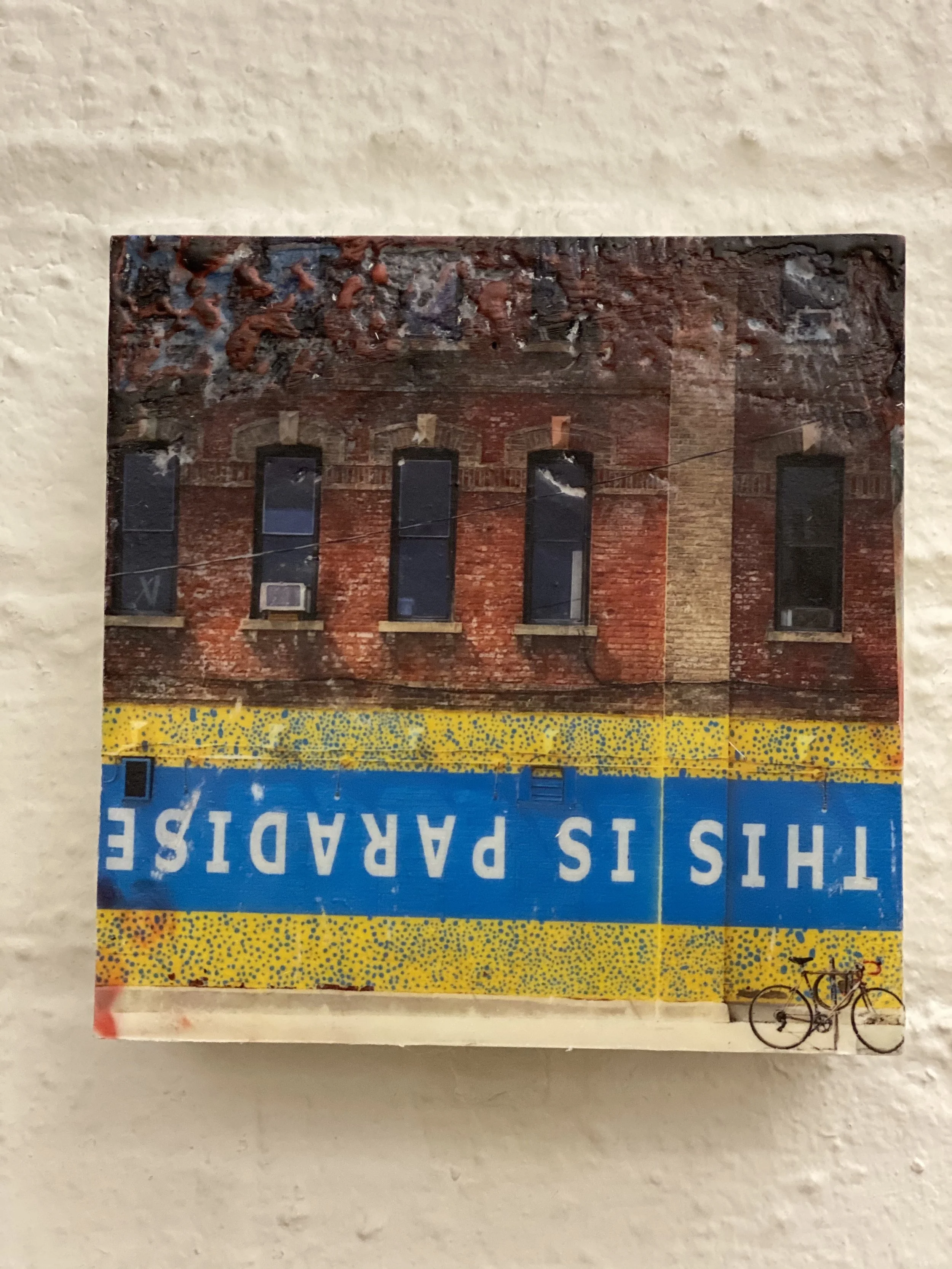 THIS IS PARADISE_IMG_5411.jpg