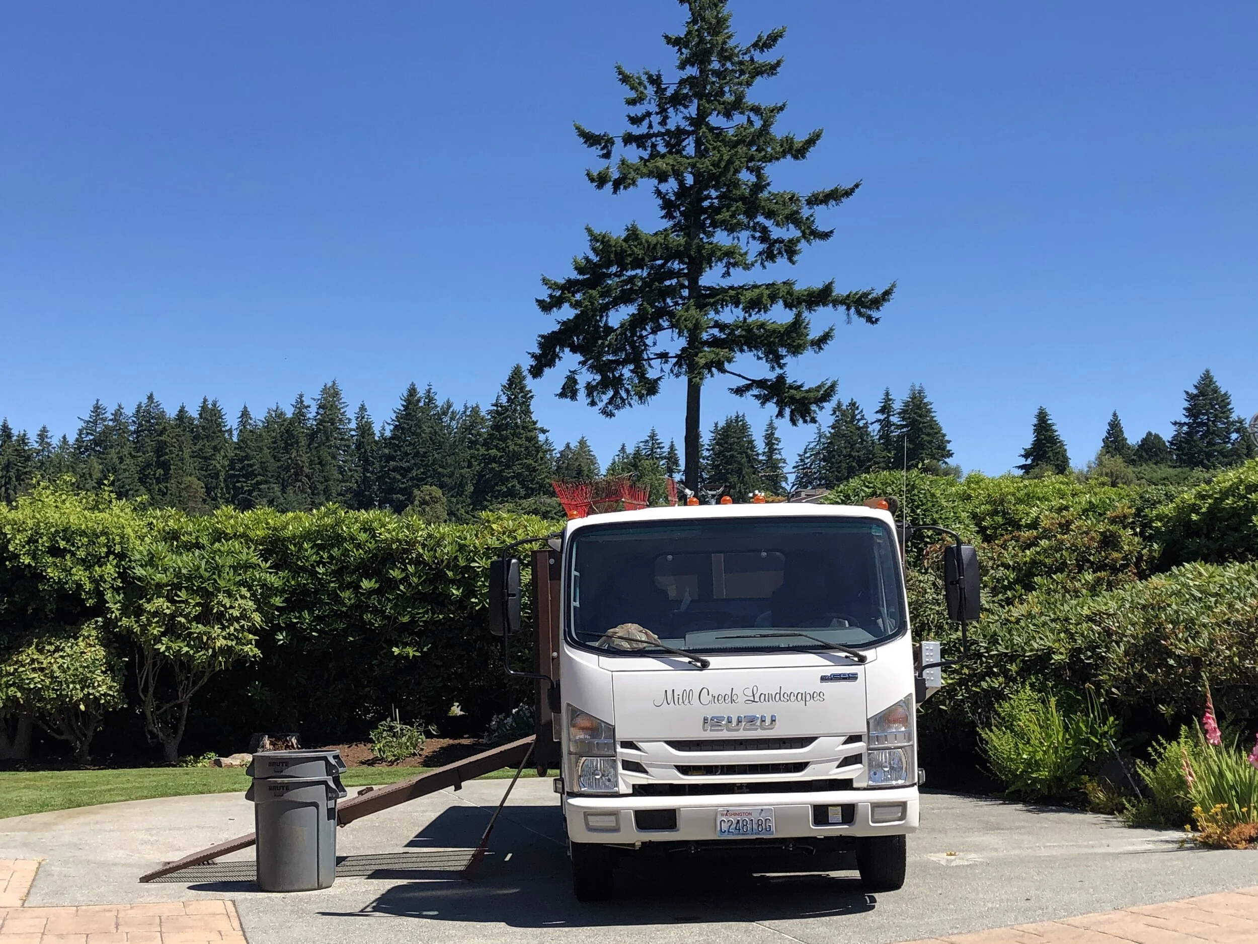 Lawn and Landscape Maintenance Seattle, WA — Mill Creek Landscapes
