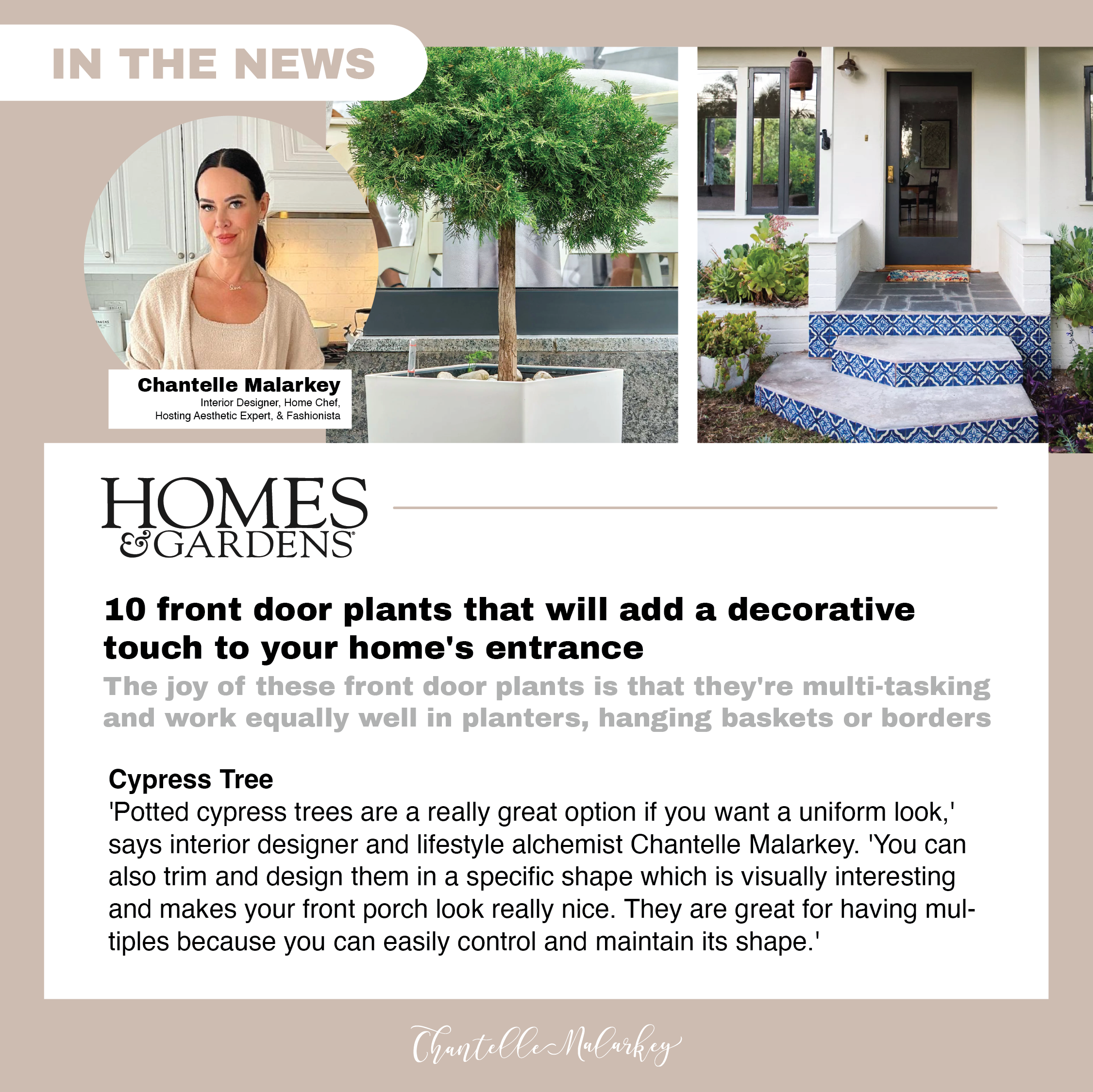 ChantelleMalarkey-07.04.23-HomesandGardens-1080x1080.png