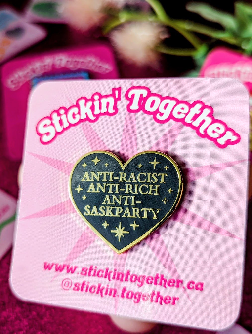 anti-racist, anti-rich, anti-sk party enamel pin.jpg