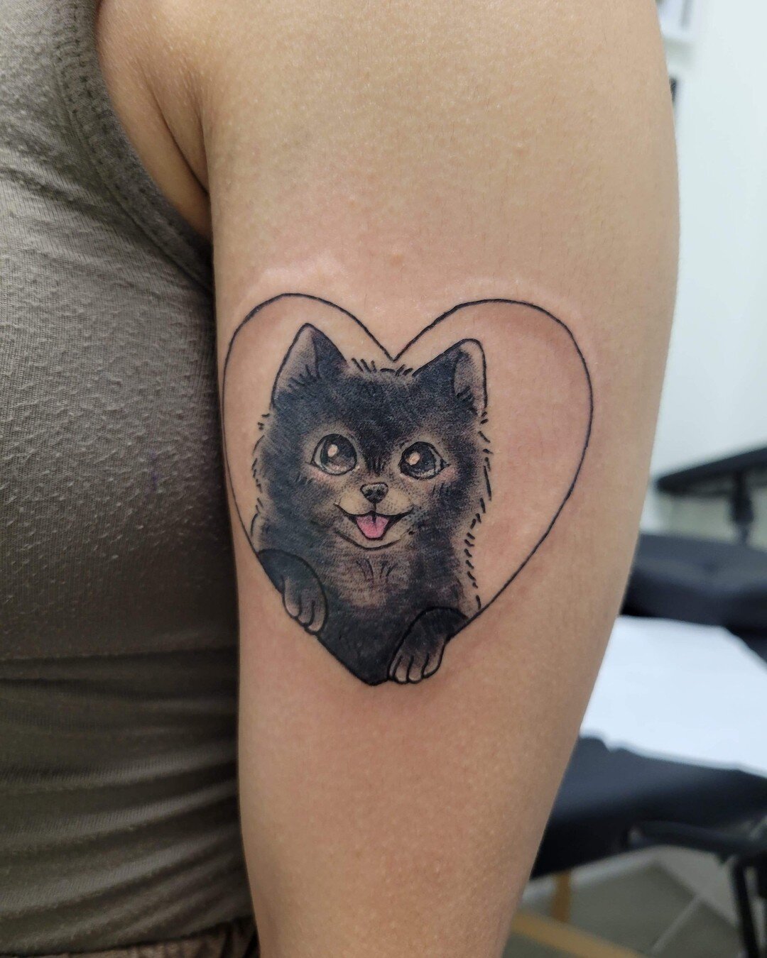 The cutest 🐱 @ghoul.radio