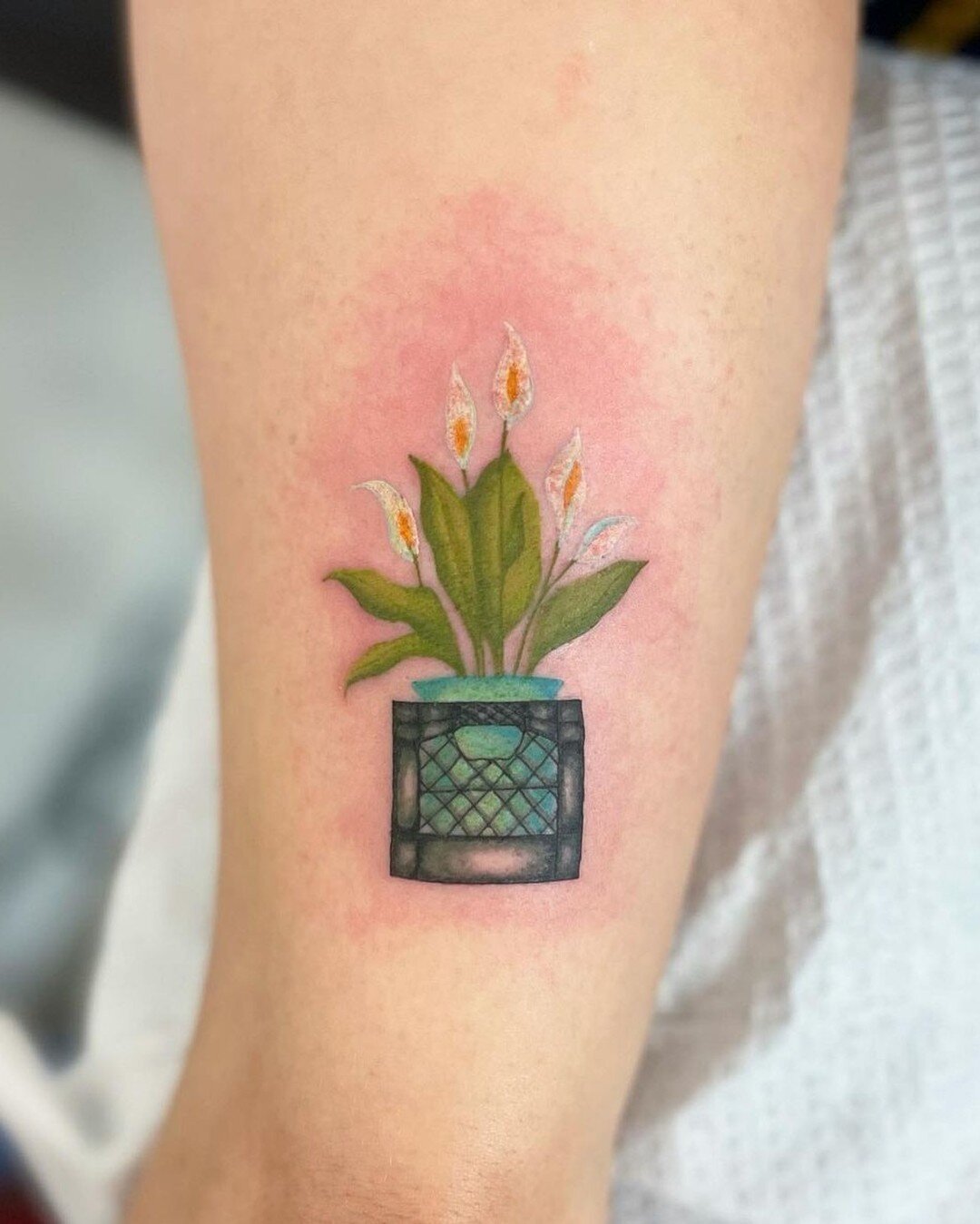 More plant tattoos please! 🪴 @kimber_nation