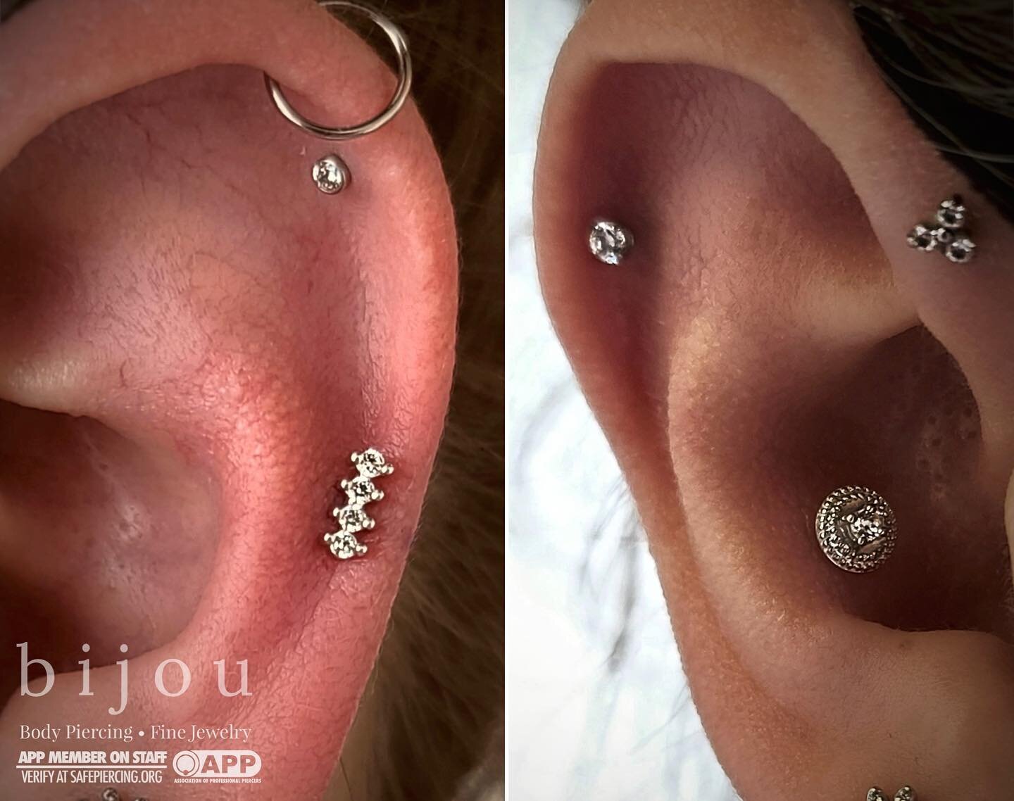 White gold and mirror finished titanium dreams✨ 

We had the pleasure of piercing this clients forward, low, and single helix. We were also able to upgrade the pre-existing helix and conch piercings🤍 

All components are threadless from Neometal and