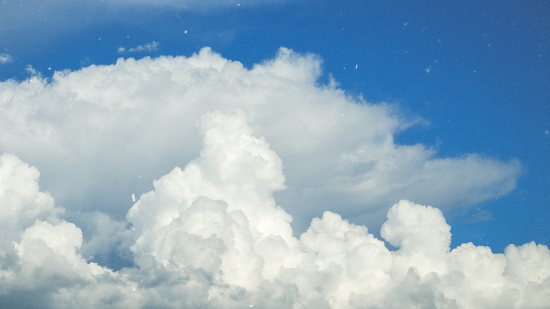 Untitled design (1).png