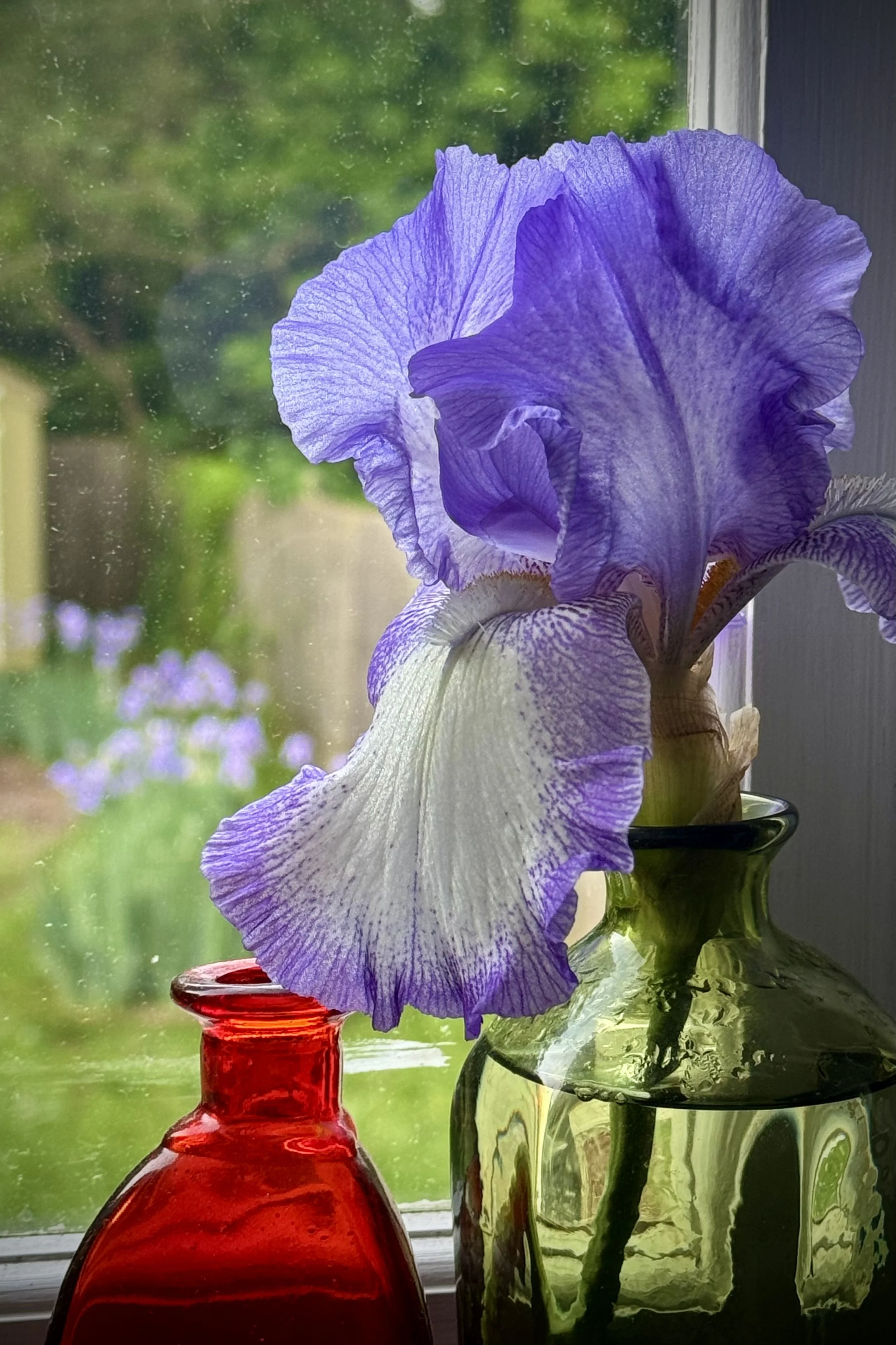 Blooming in New Ways