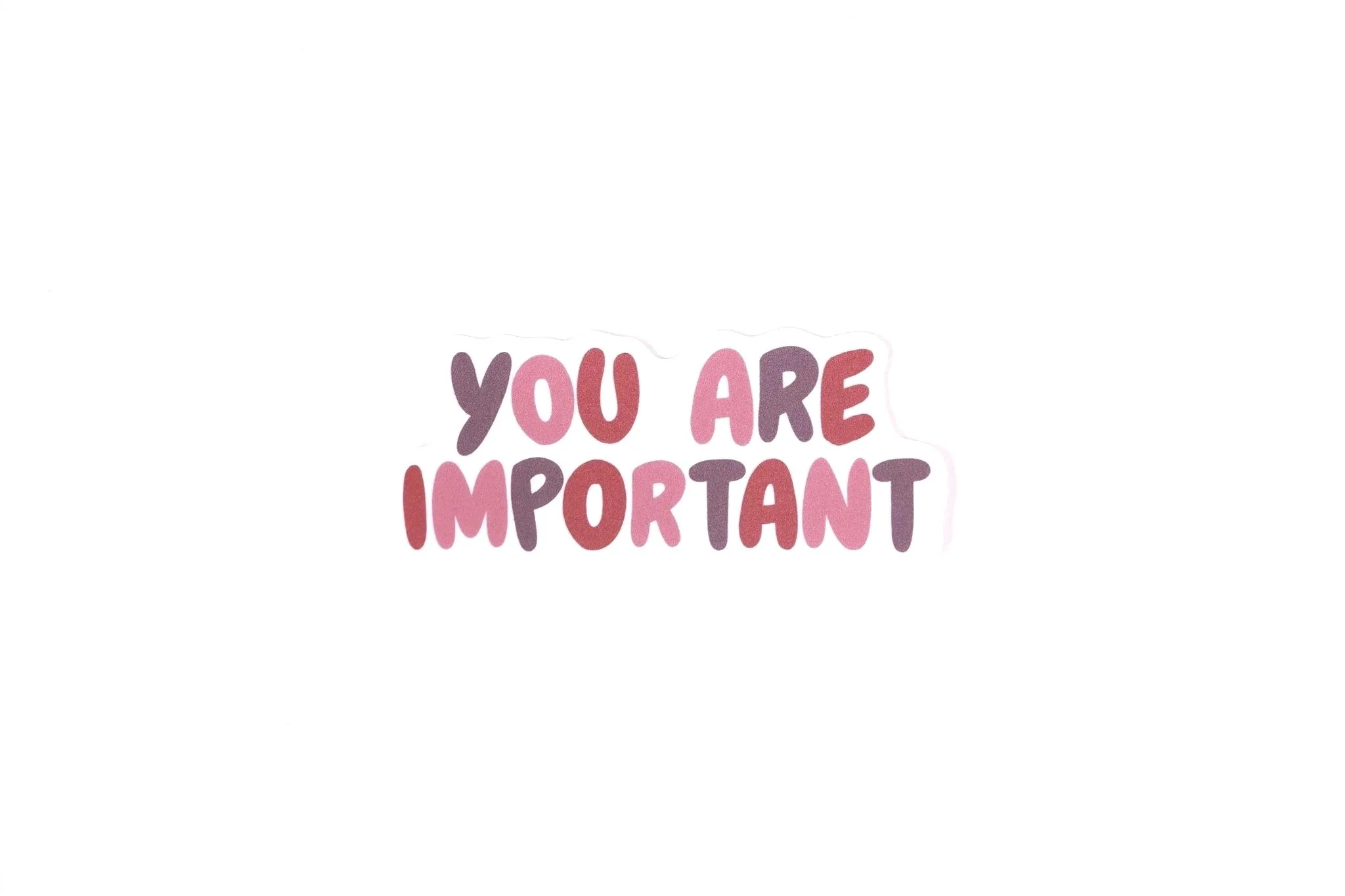 You are Important | Vinyl Sticker