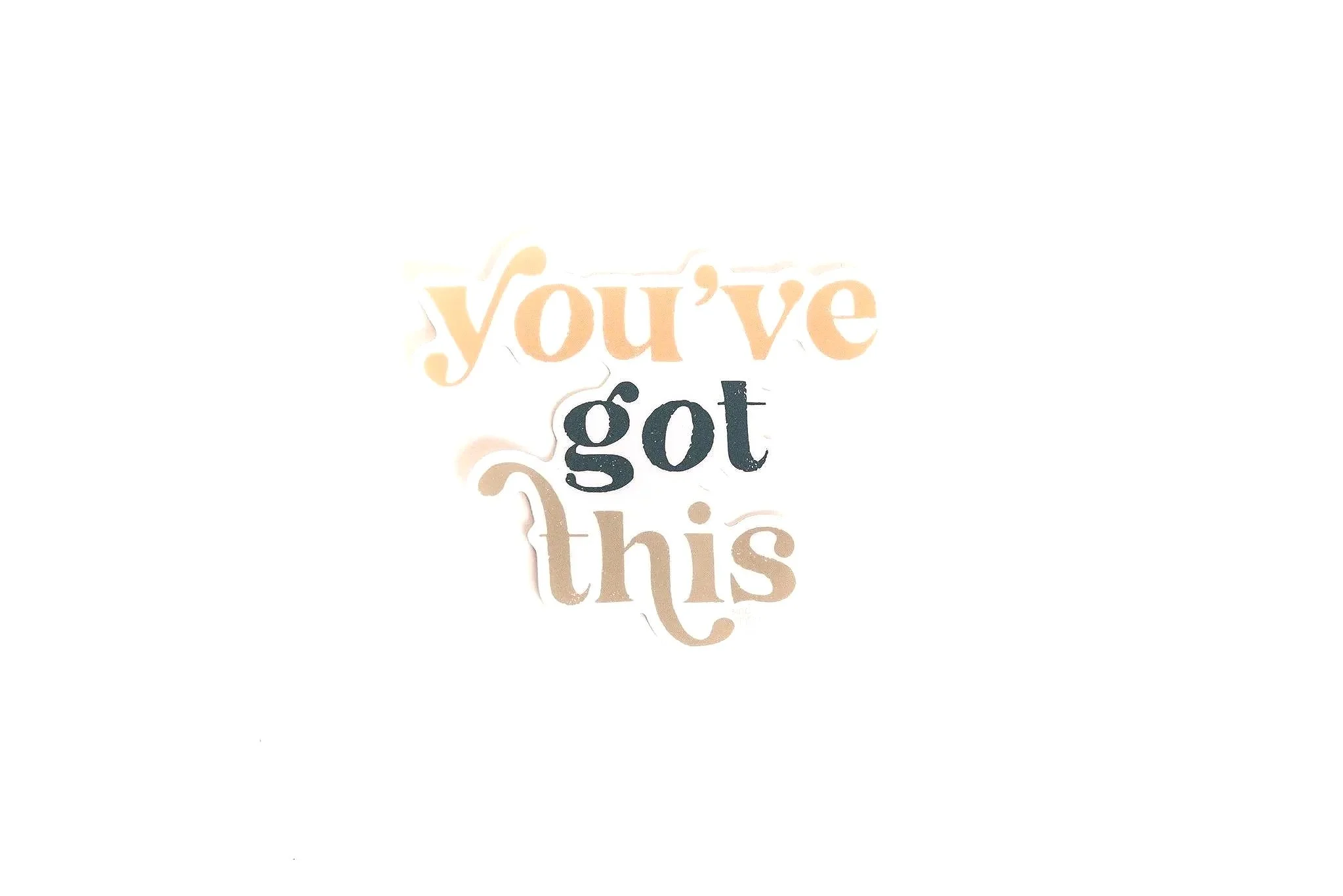 You've Got This | Vinyl Sticker