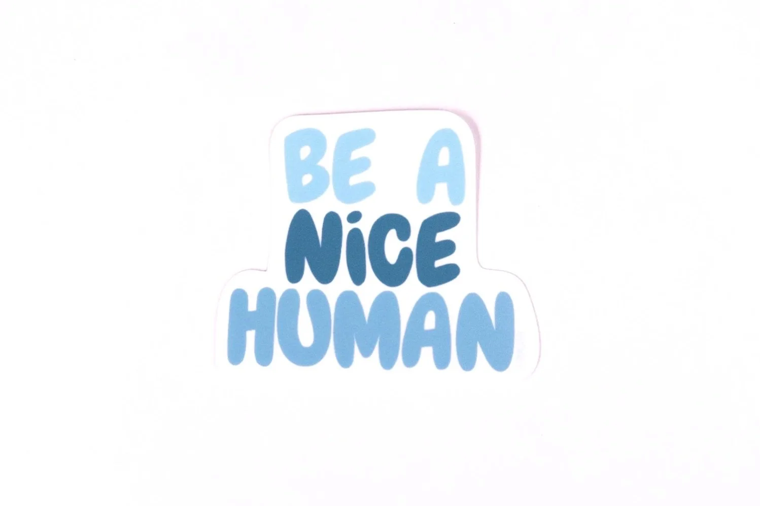 Be a Nice Human | Vinyl Sticker