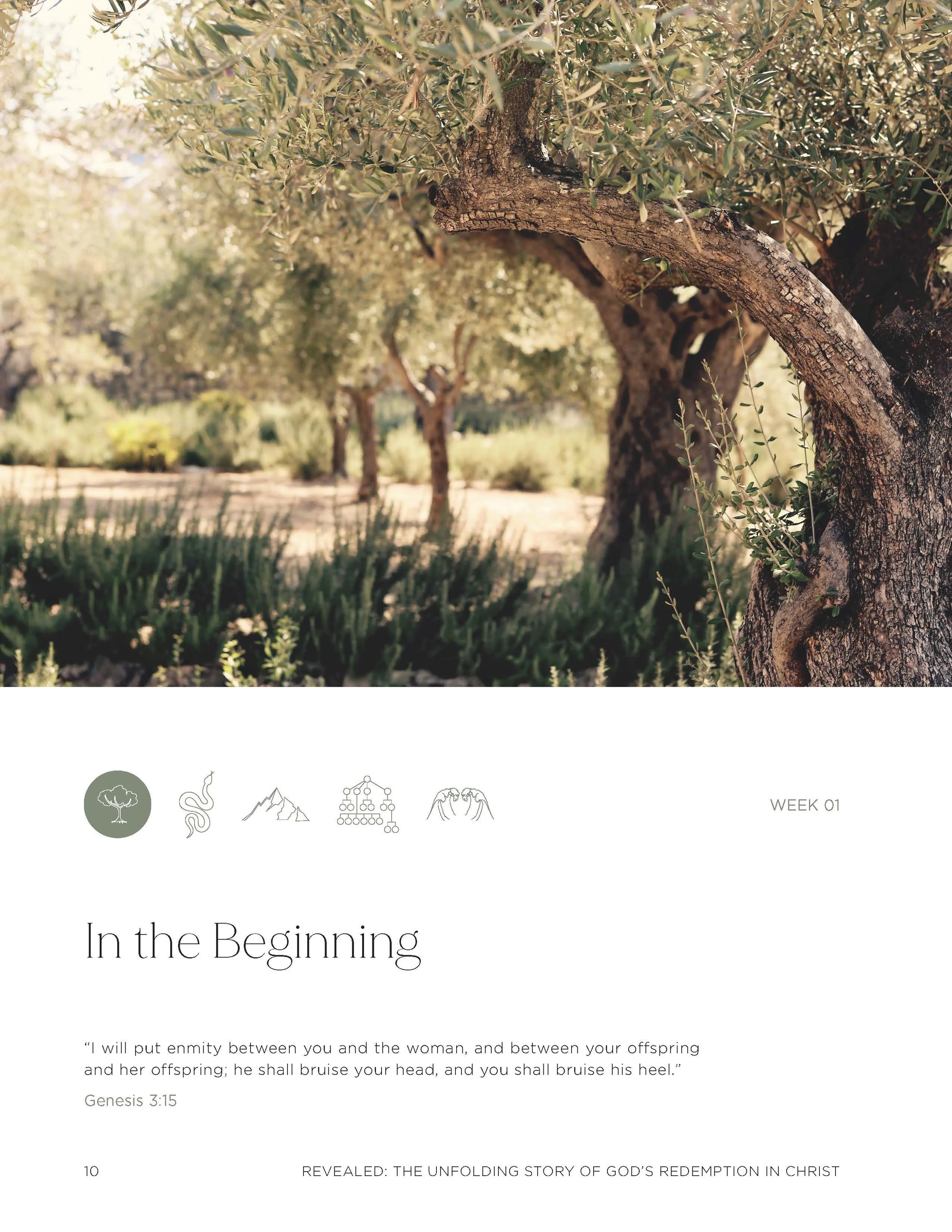 JPG_REVEALED_VOLUME1_PREVIEW_OF_BOOK copy_Page_06.jpg