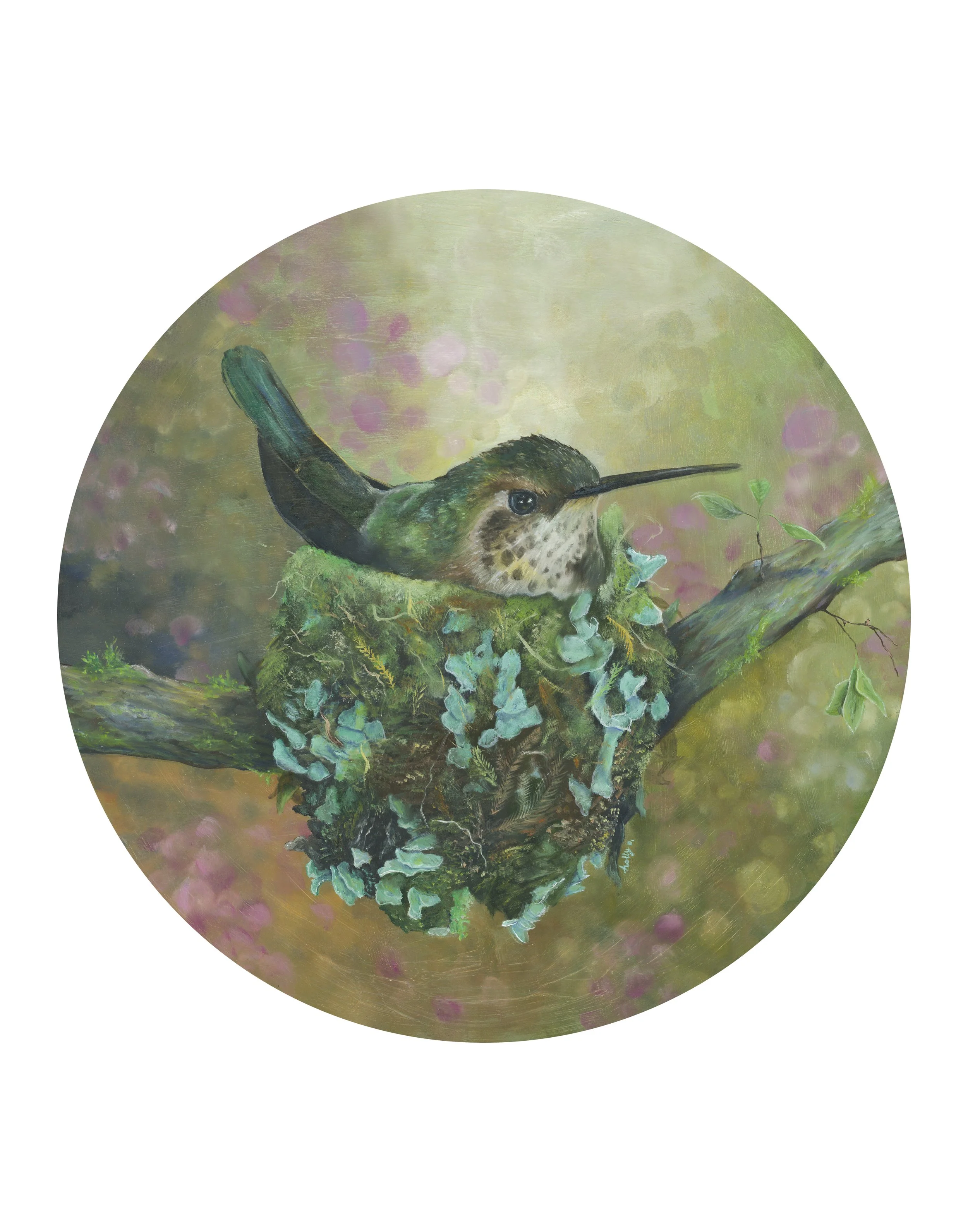 Hummingbird.jpg