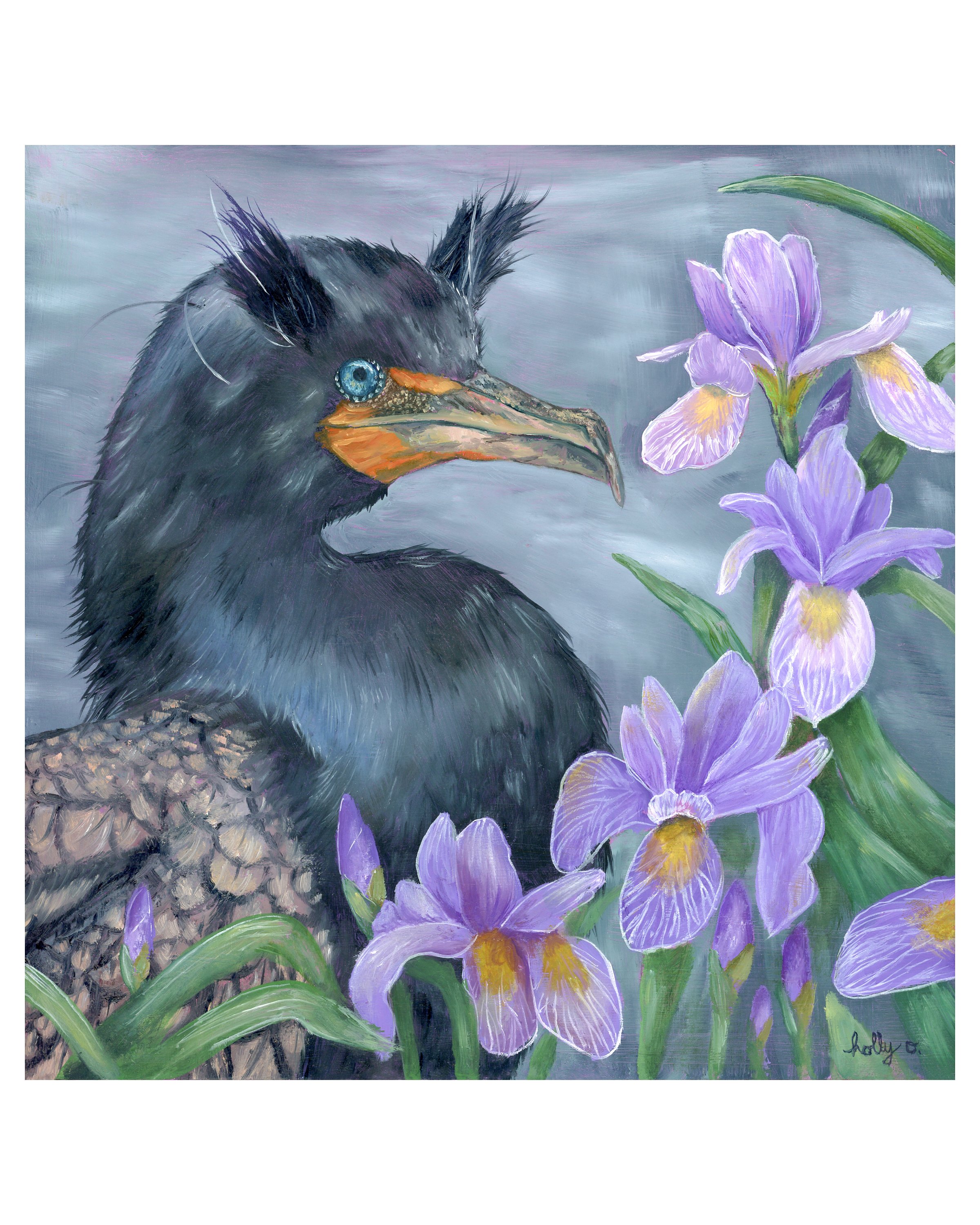 double-crested cormoran 8x10 print copy.jpg