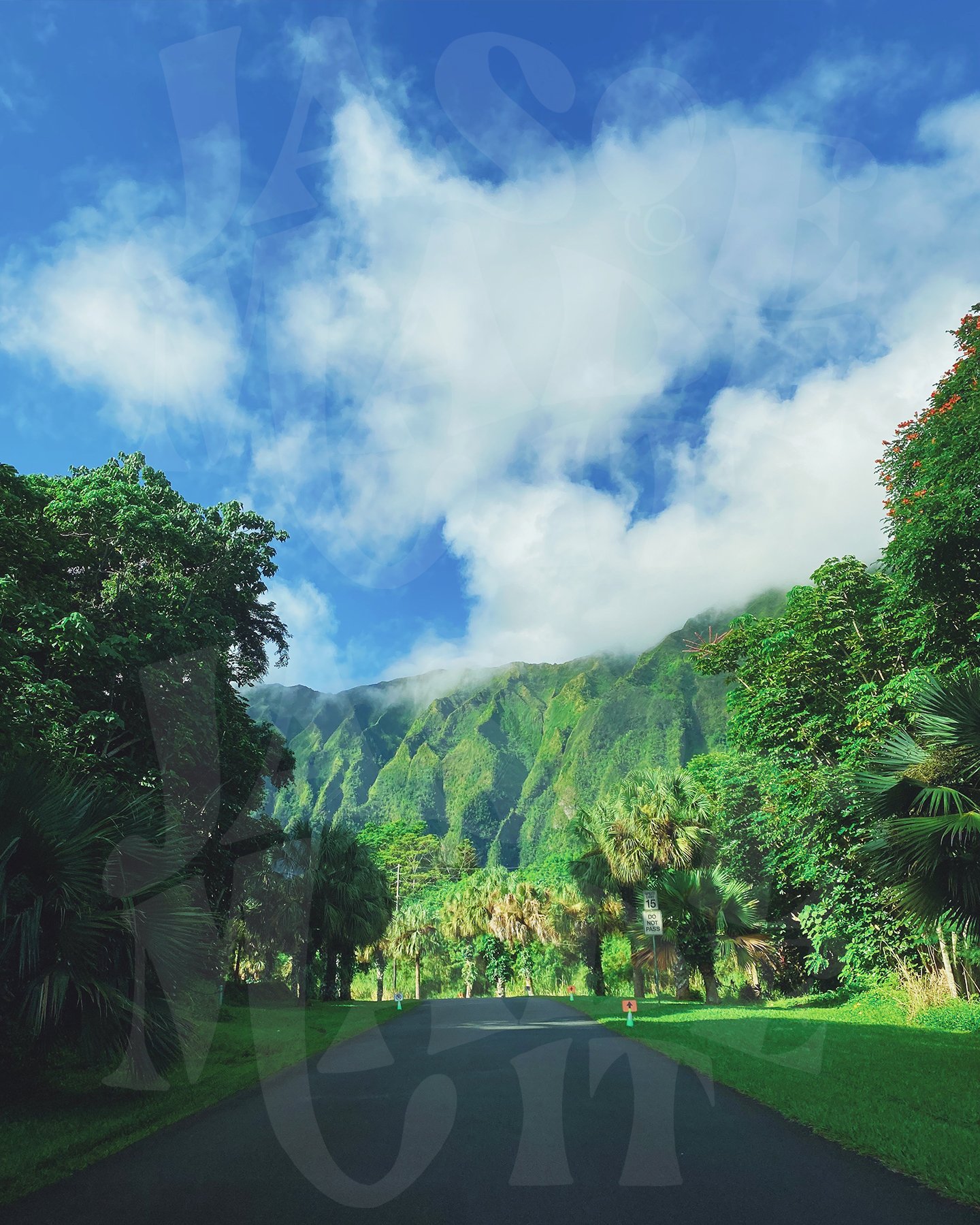 Ho'omaluhia Botanical Garden.jpg