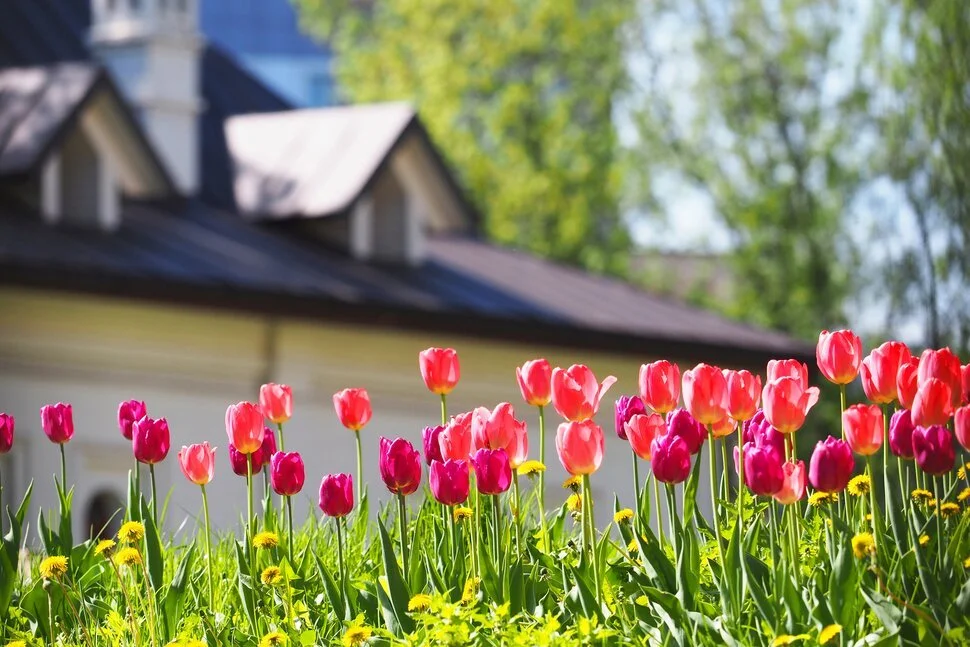 Is Spring Really the Best Time to Sell? Understanding the Market's Natural Flow