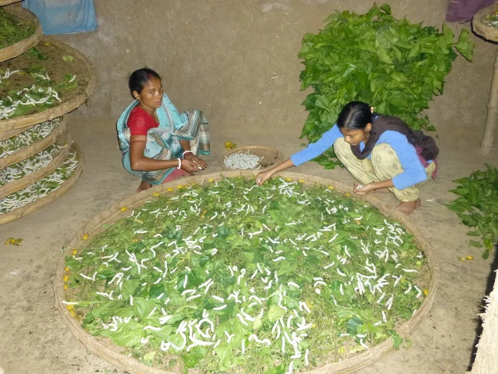Two girls working with silkworms on mulberry leaves in a rural setting, with traditional woven baskets filled with mulberry leaves nearby.