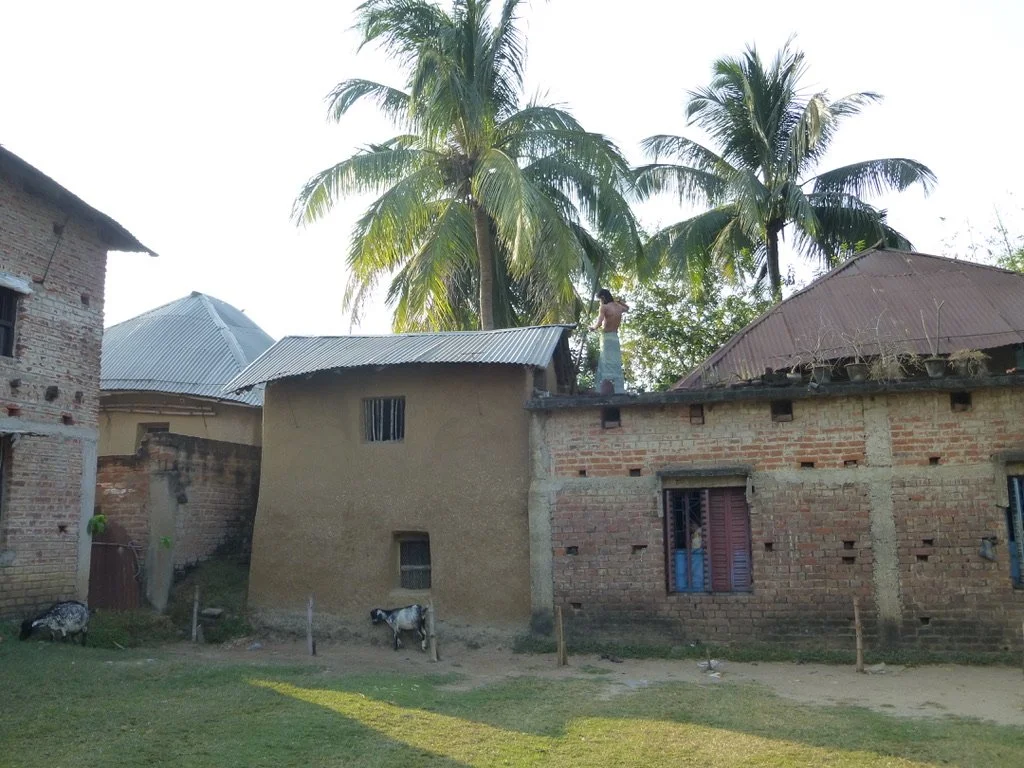 A rural scene with brick houses, palm trees, and a person standing on a rooftop.