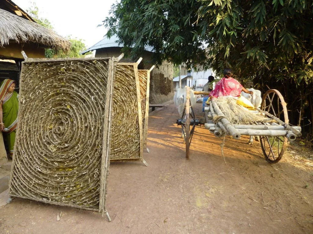 A person riding a bamboo cart pulled by a bicycle, with another person standing nearby on a dirt road shaded by trees in a rural setting.