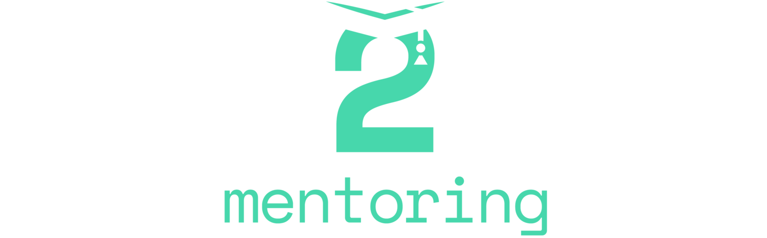 One2One Mentoring