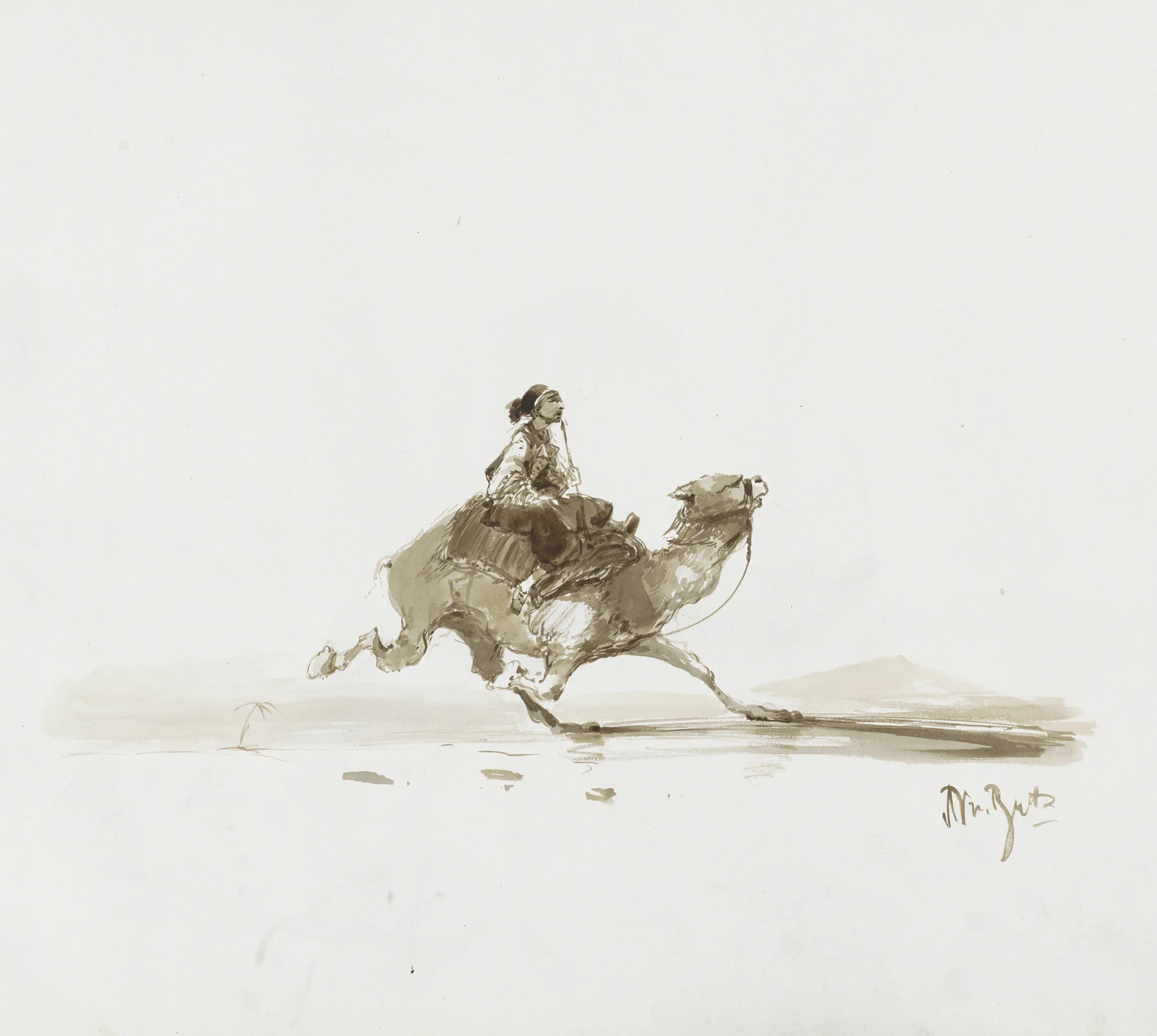 MW0011.BI-1896-3962-8.jpg