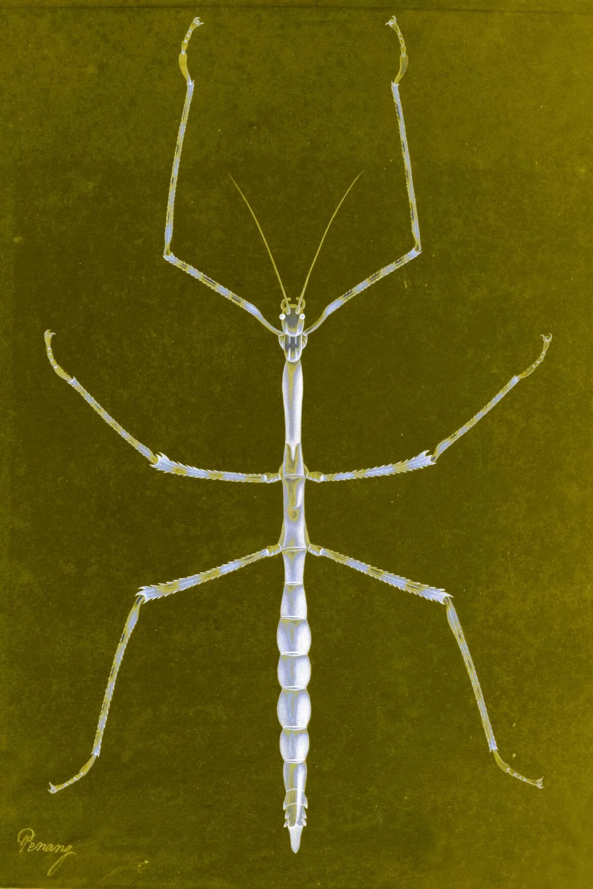 MW0016.12459096453_4bfa4d41c2_o (1).jpg