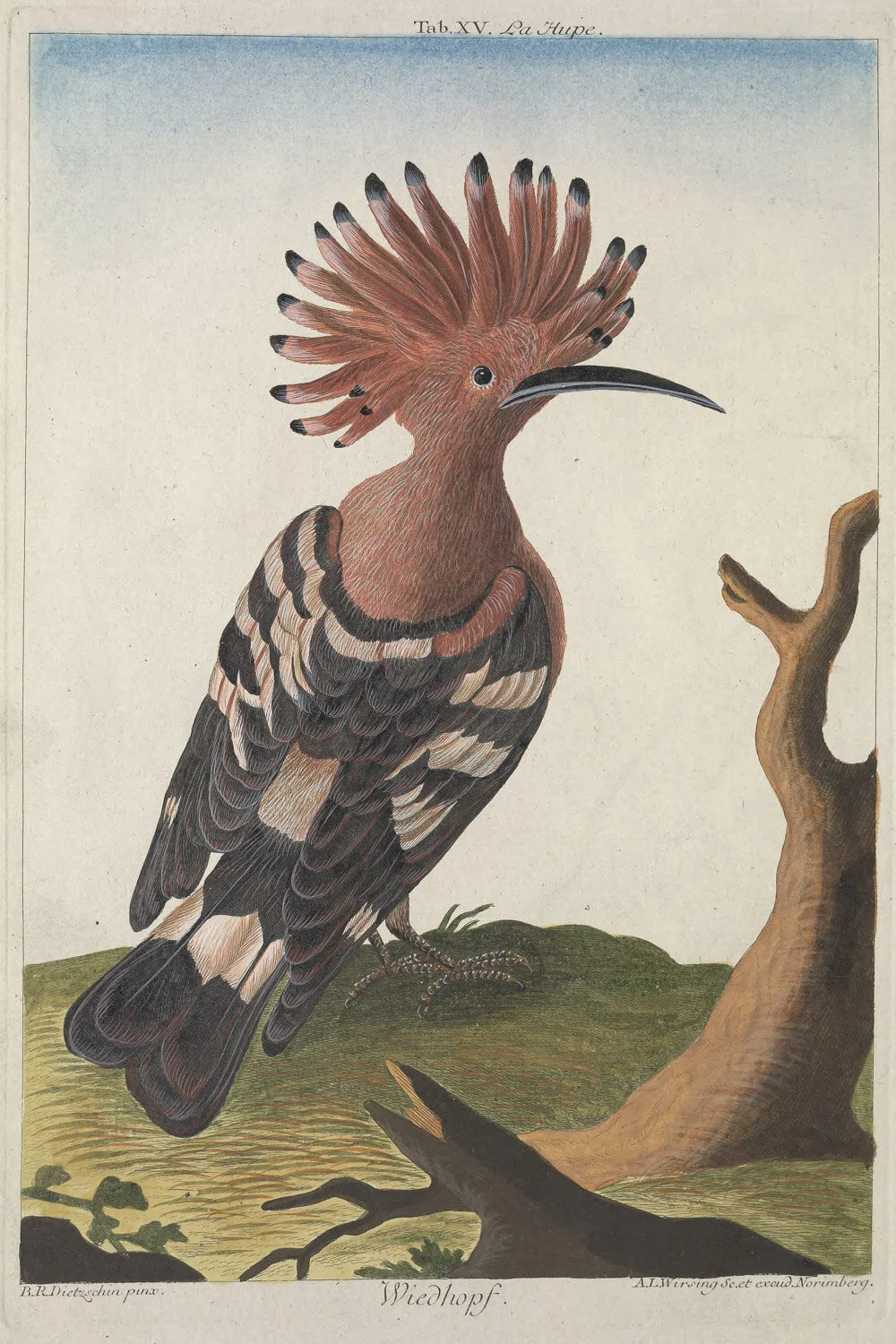 Recueildedivers00HuthB_0236.jpg