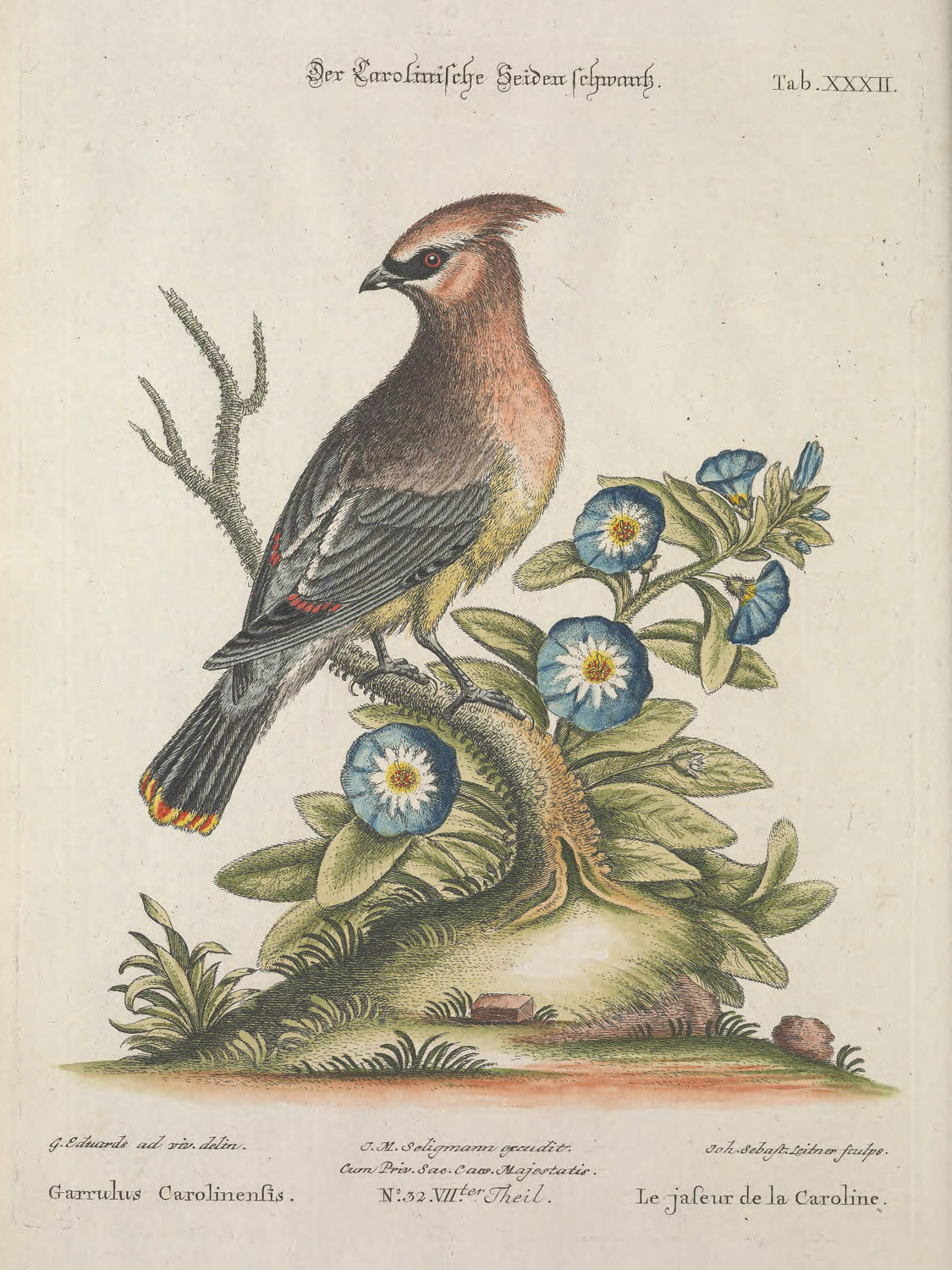 Recueildedivers1773Huth_0268.jpg