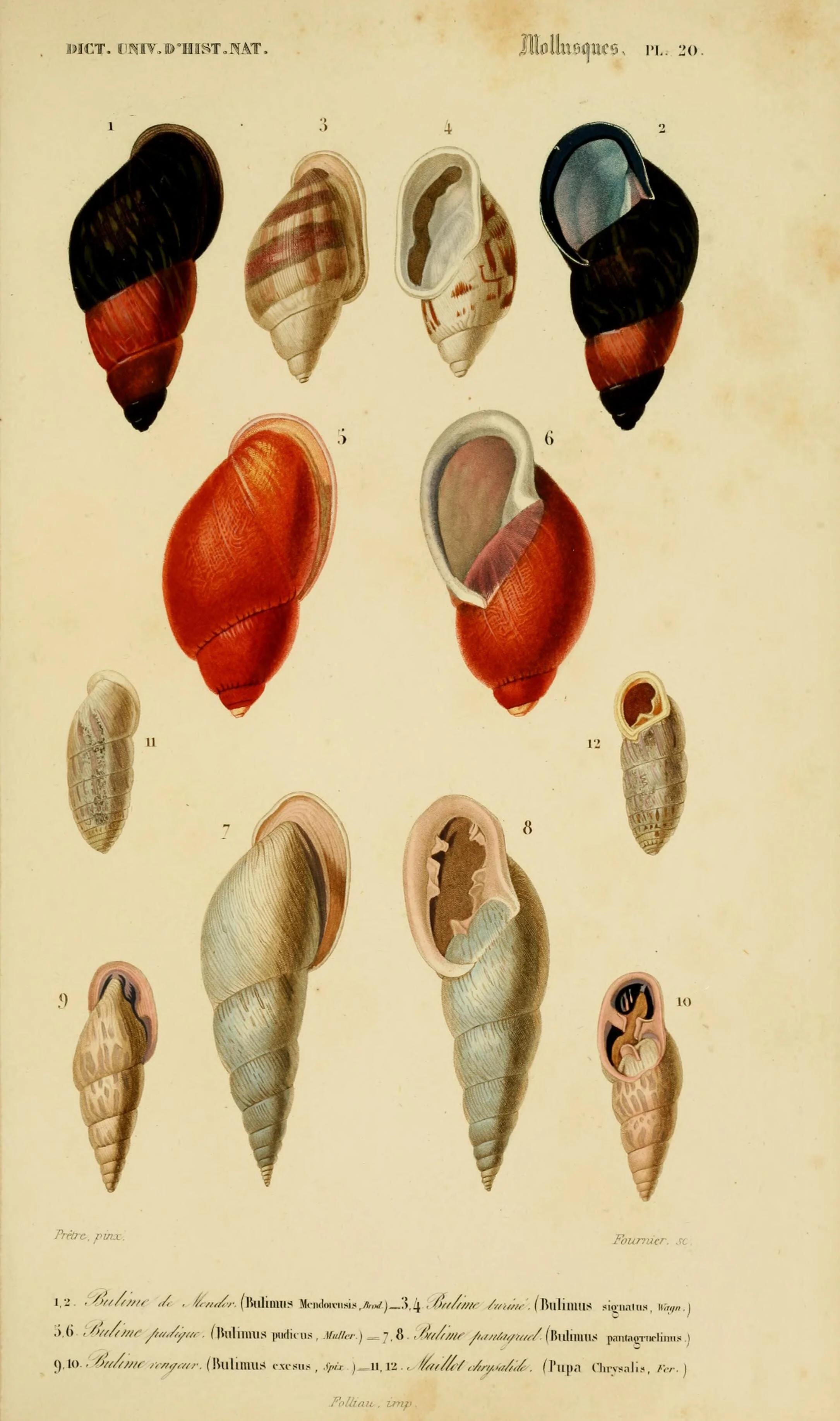 dictionnaireuniv16orbi_0069.jpg