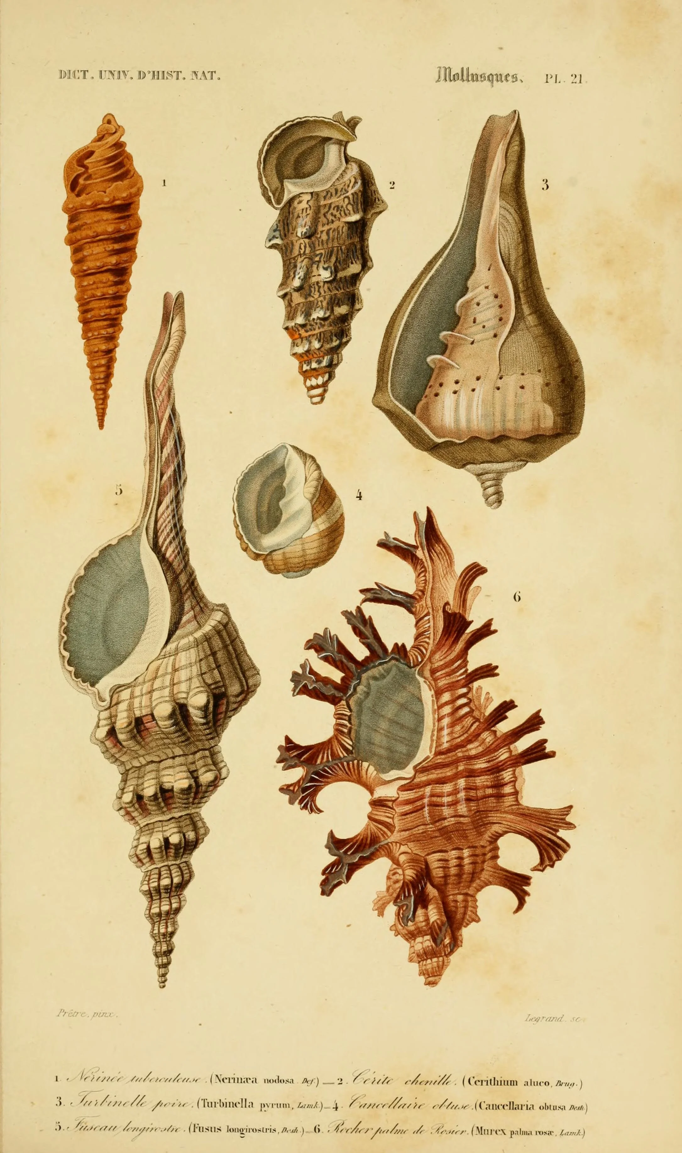 dictionnaireuniv16orbi_0071.jpg