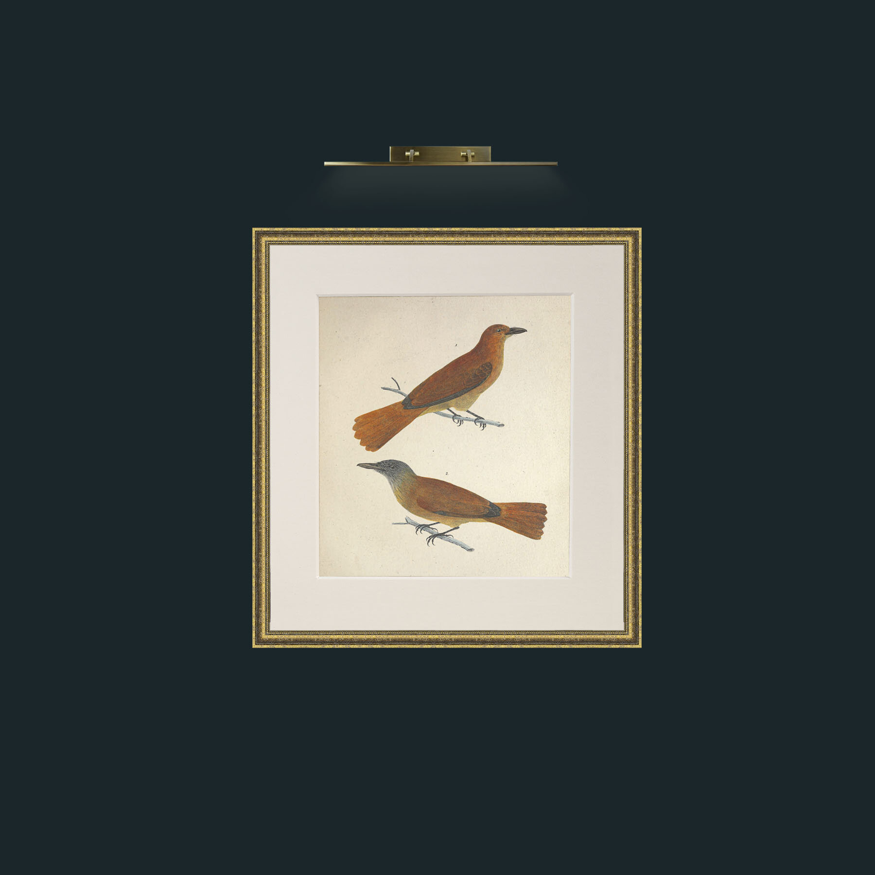 Art- Muscicapa 2Frame-1GiltTextured-Mount-1Antique-Art- Muscicapa 2.jpg