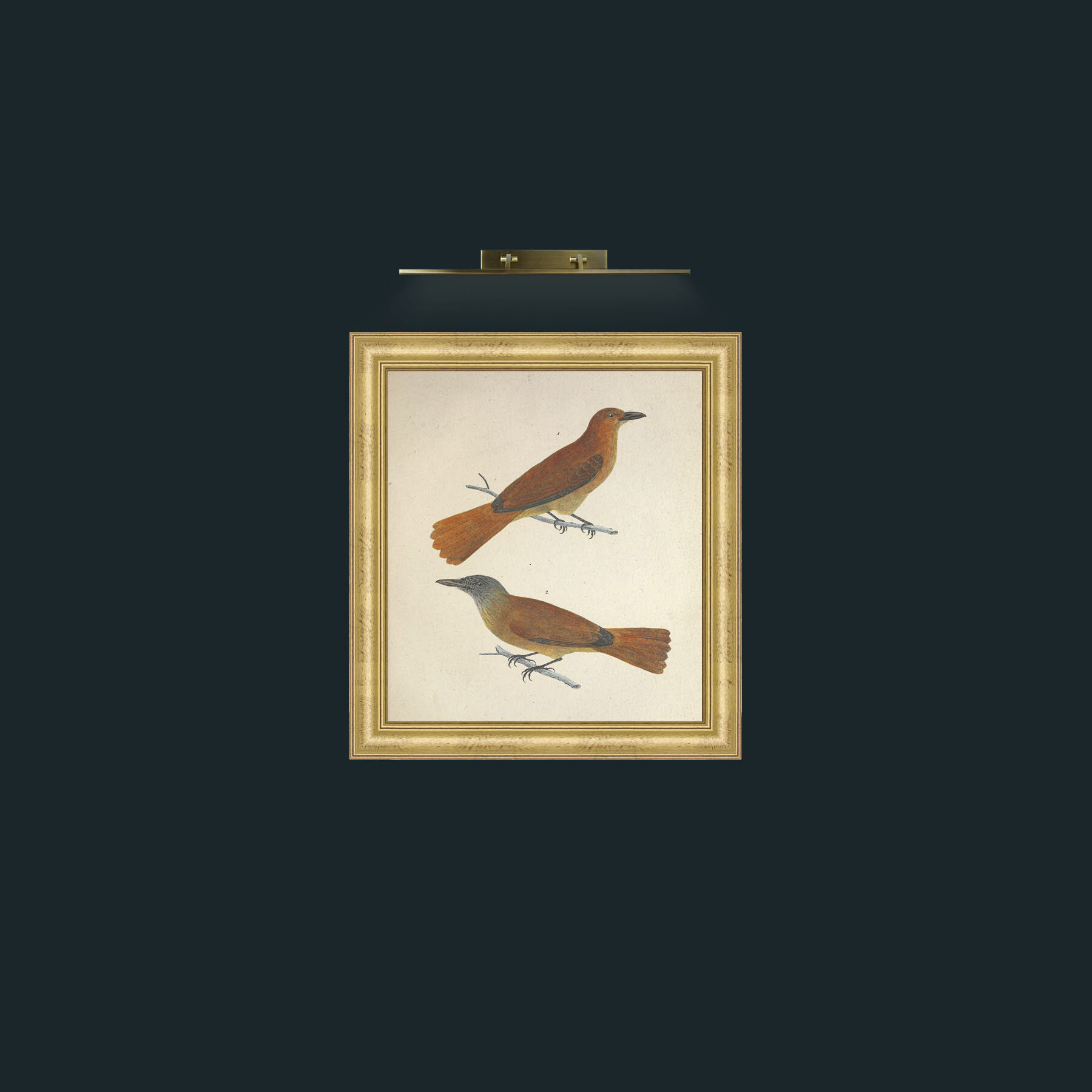 Art- Muscicapa 2Frame-8WideGilt-Art- Muscicapa 2.jpg