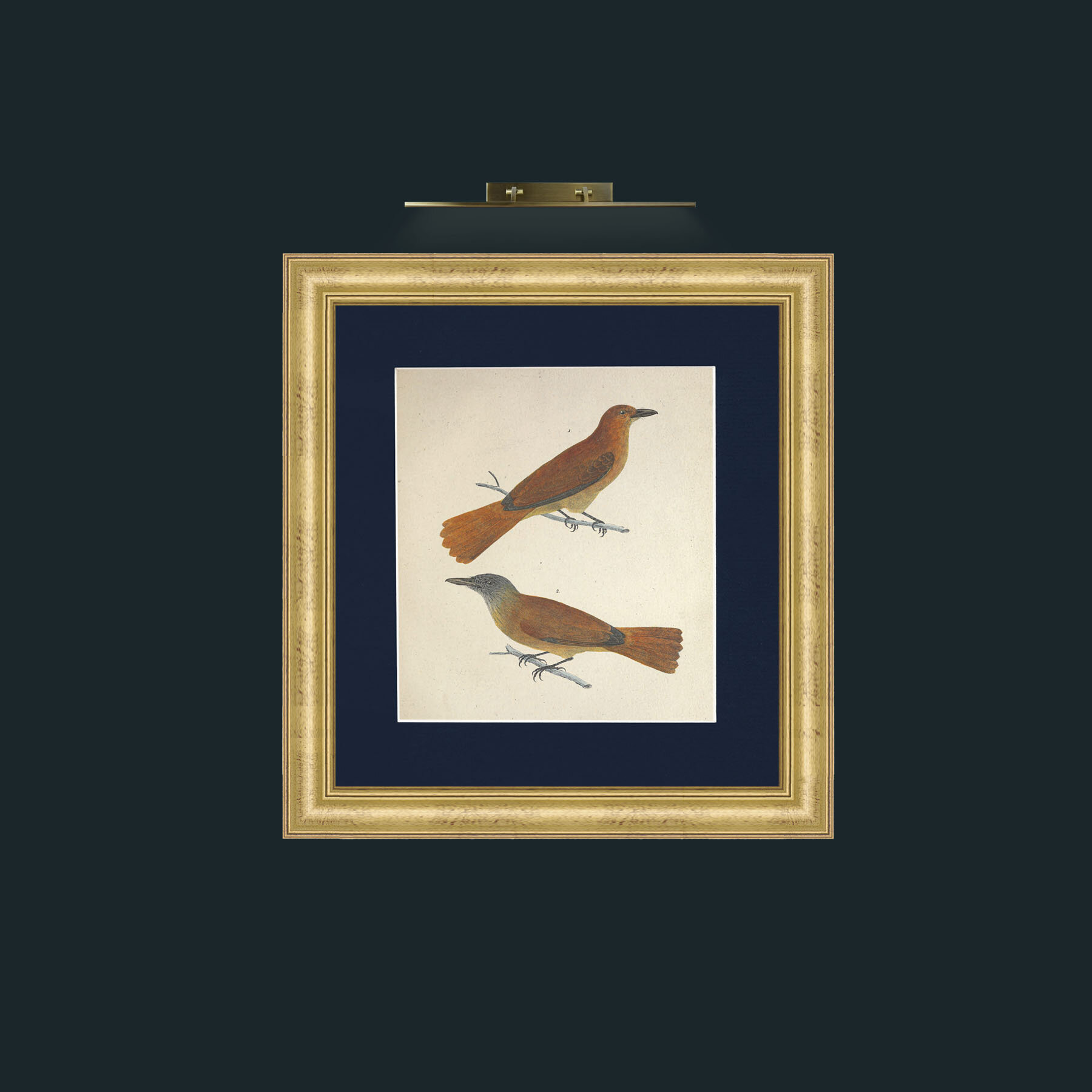 Art- Muscicapa 2Frame-9WideGilt-Mount-3Blue-Art- Muscicapa 2.jpg