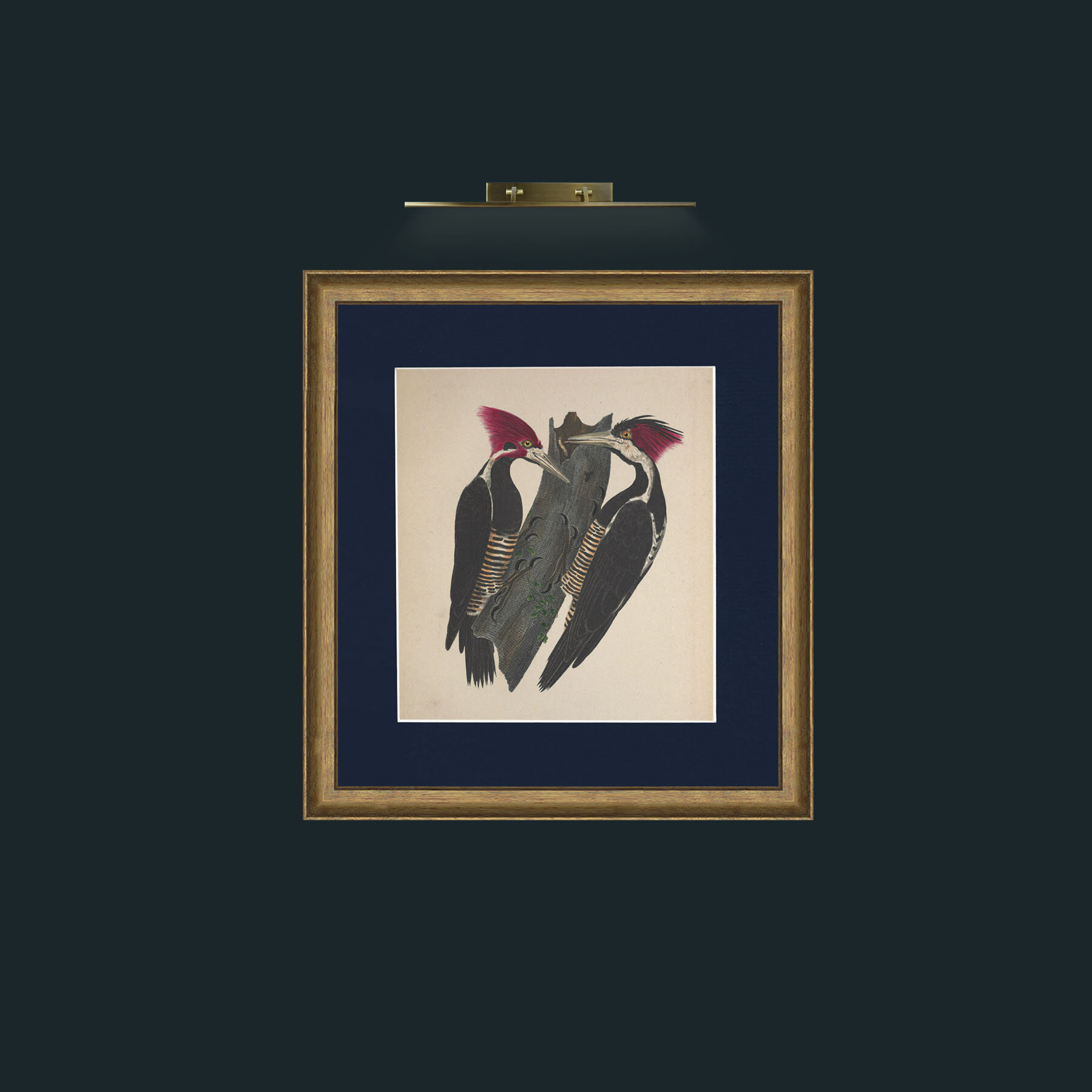 Art-Albirostris PicusFrame-8RedGreenGilt-Mount-3Blue-Art-Albirostris Picus.jpg