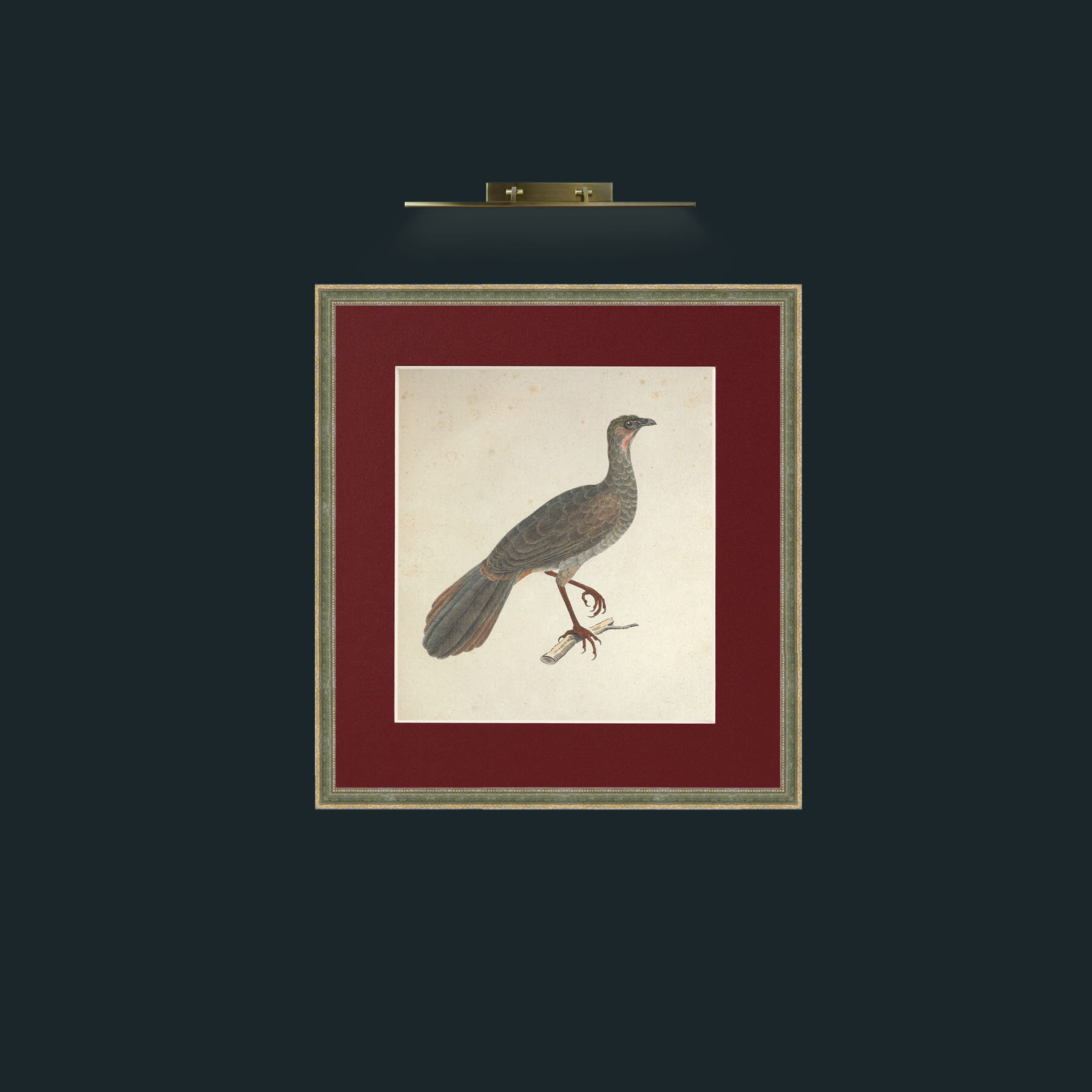 Art-Aracuan PenelopeFrame-2GreenGiltTextured-Mount-4Red-Art-Aracuan Penelope.jpg