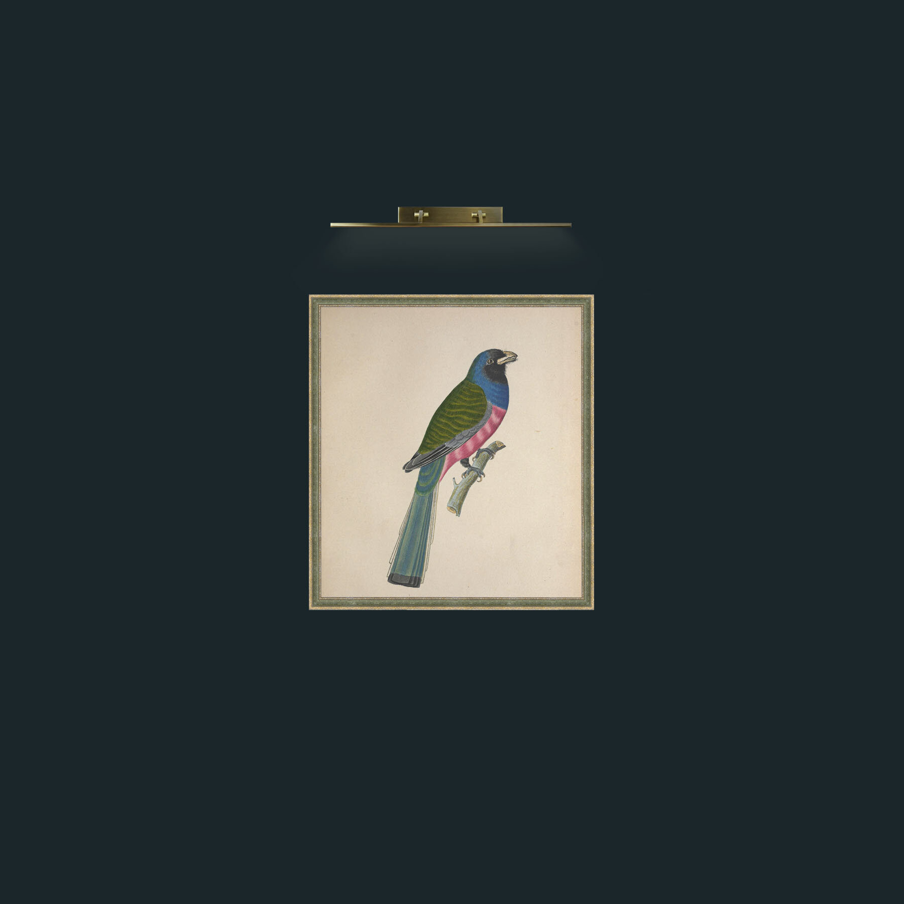 Art-Aurantius TrogonFrame-2GreenGiltTextured-Art-Aurantius Trogon.jpg