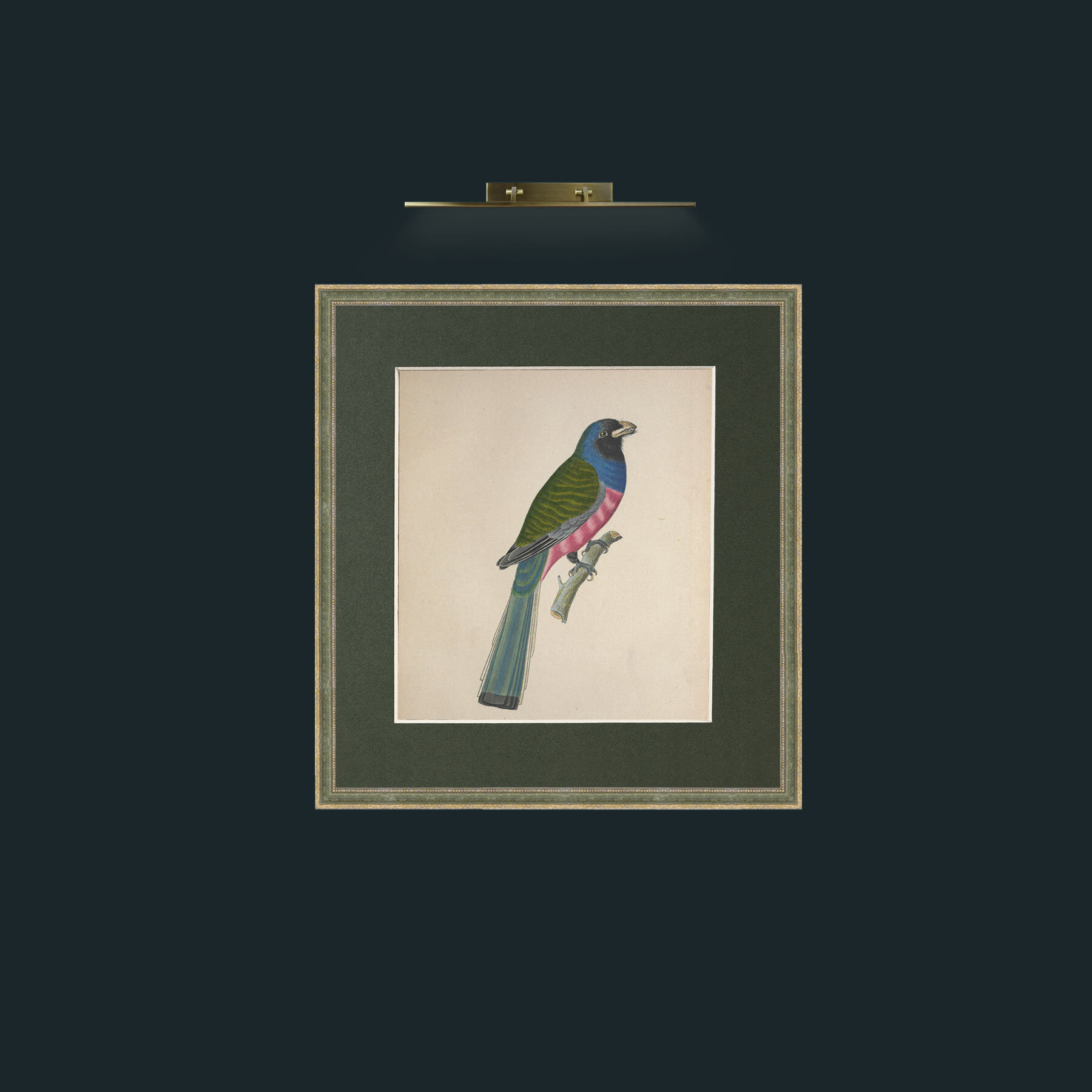 Art-Aurantius TrogonFrame-2GreenGiltTextured-Mount-2Green-Art-Aurantius Trogon.jpg