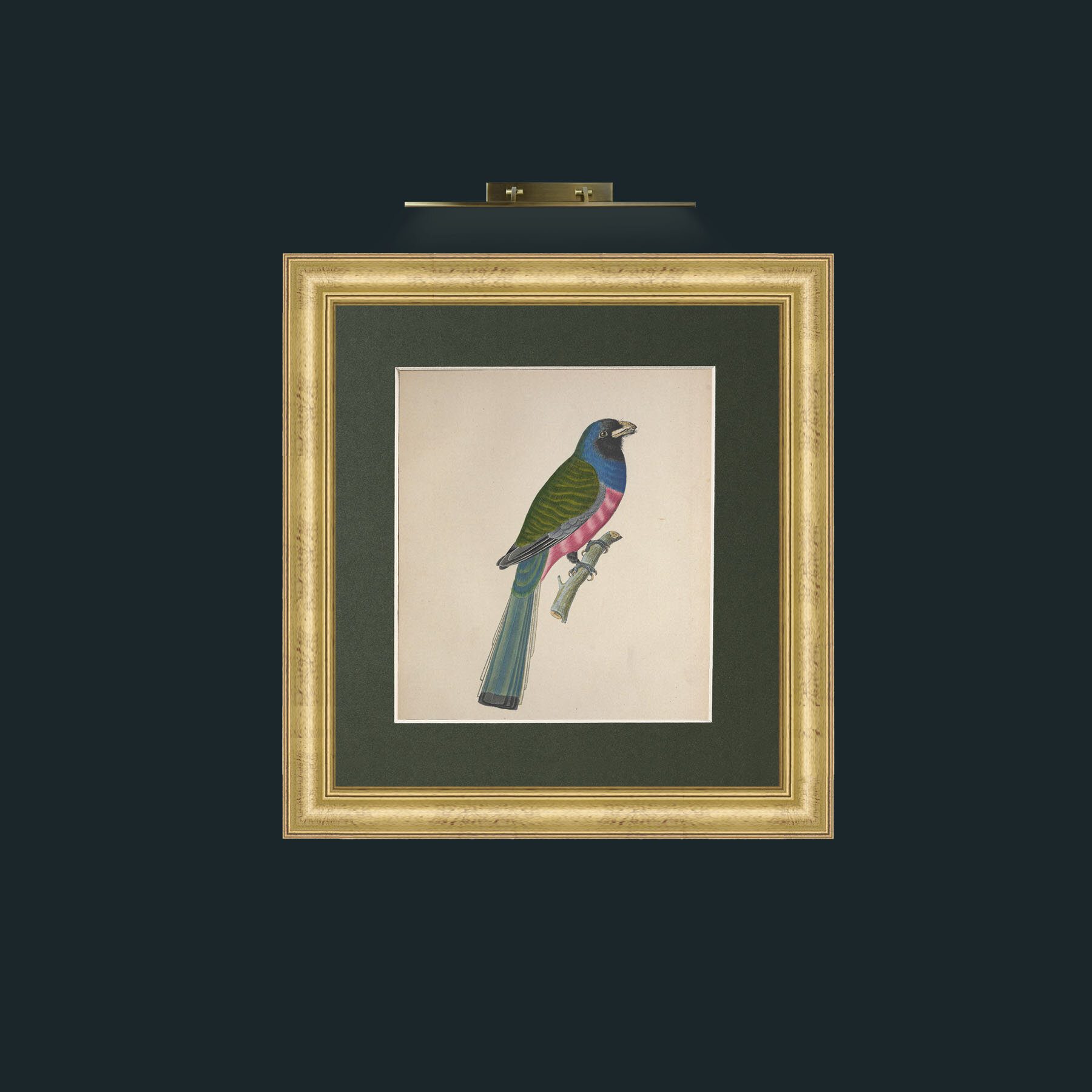 Art-Aurantius TrogonFrame-9WideGilt-Mount-2Green-Art-Aurantius Trogon.jpg