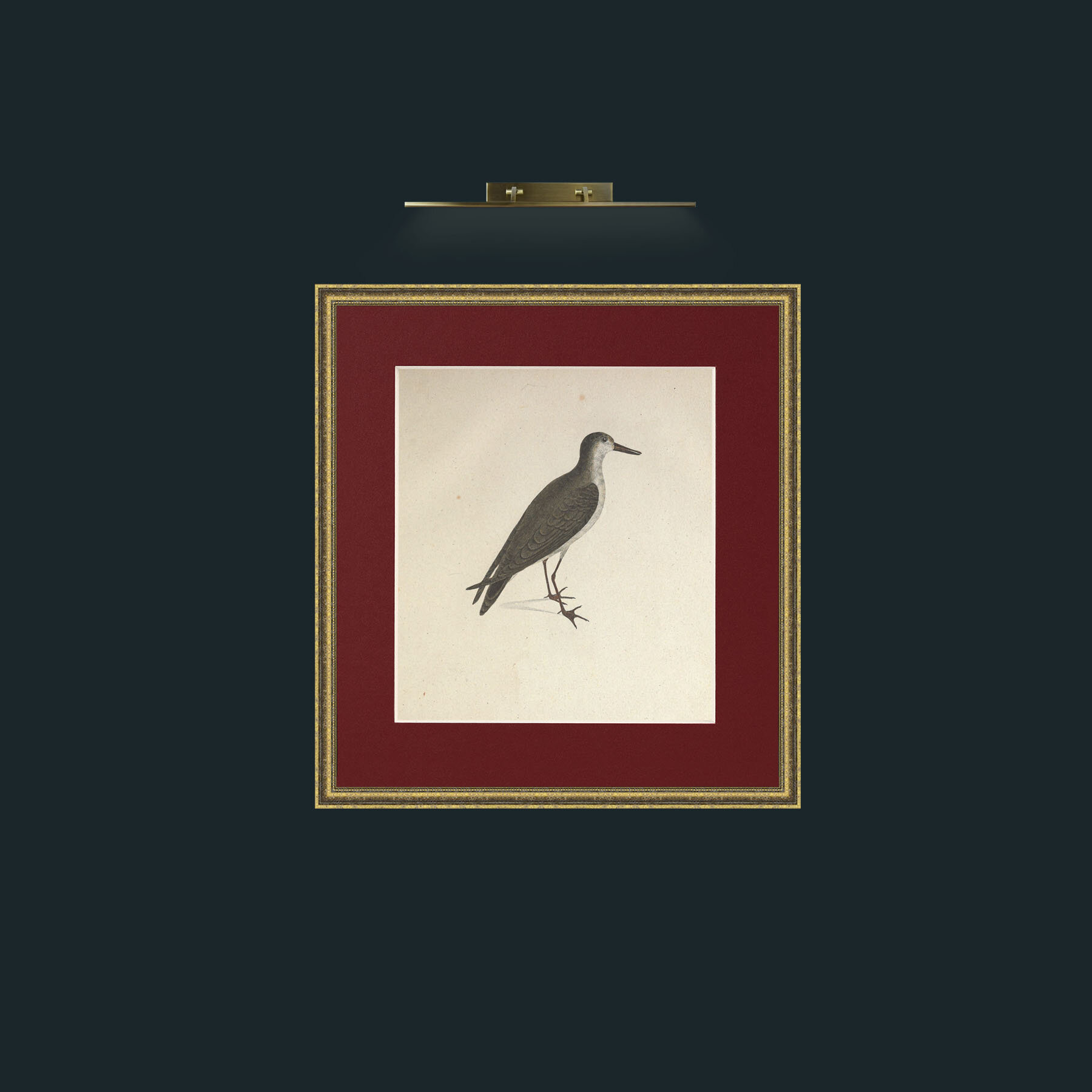Art-Brevirostris TringaFrame-1GiltTextured-Mount-4Red-Art-Brevirostris Tringa.jpg