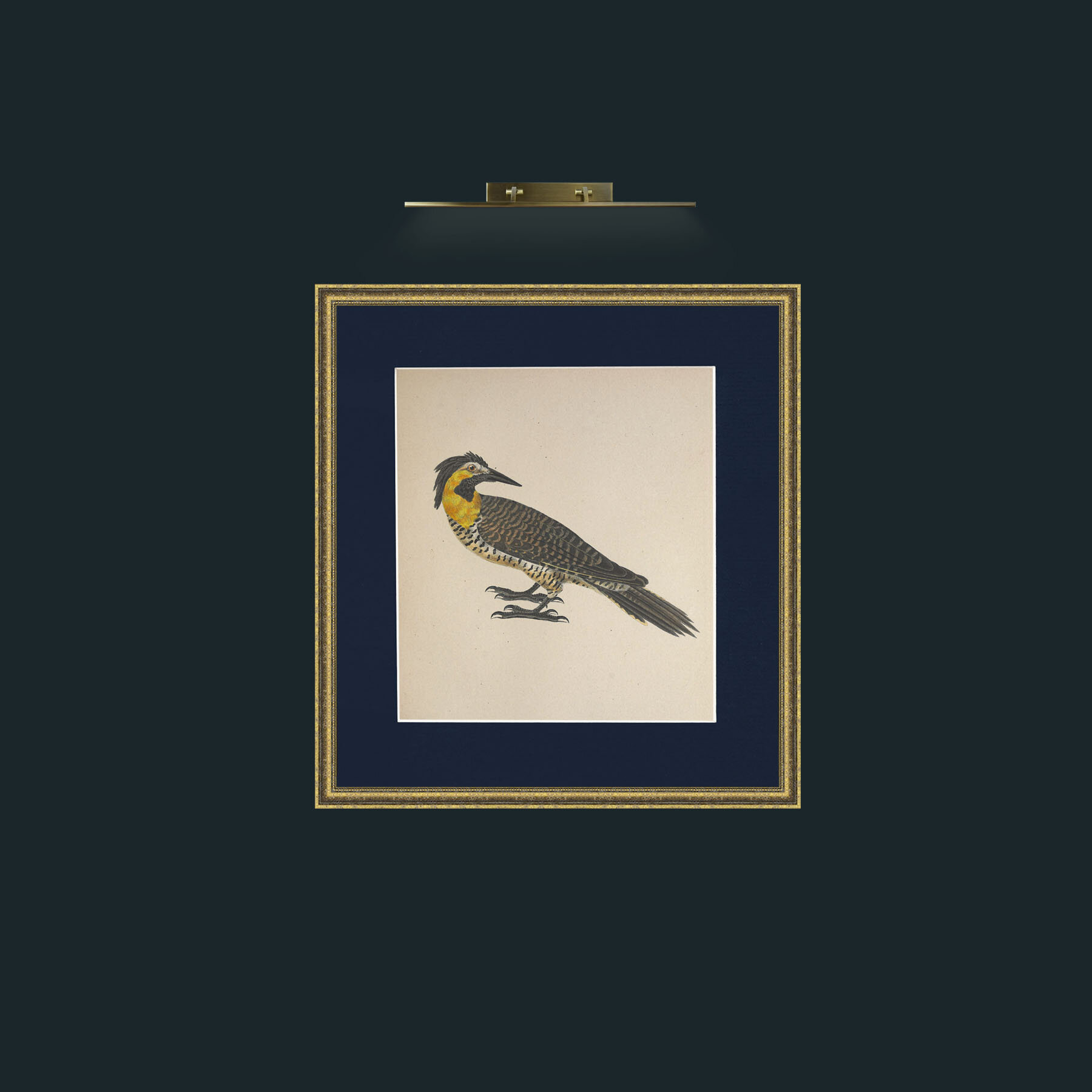 Art-Campestris Picus Frame-1GiltTextured-Mount-3Blue-Art-Campestris Picus .jpg