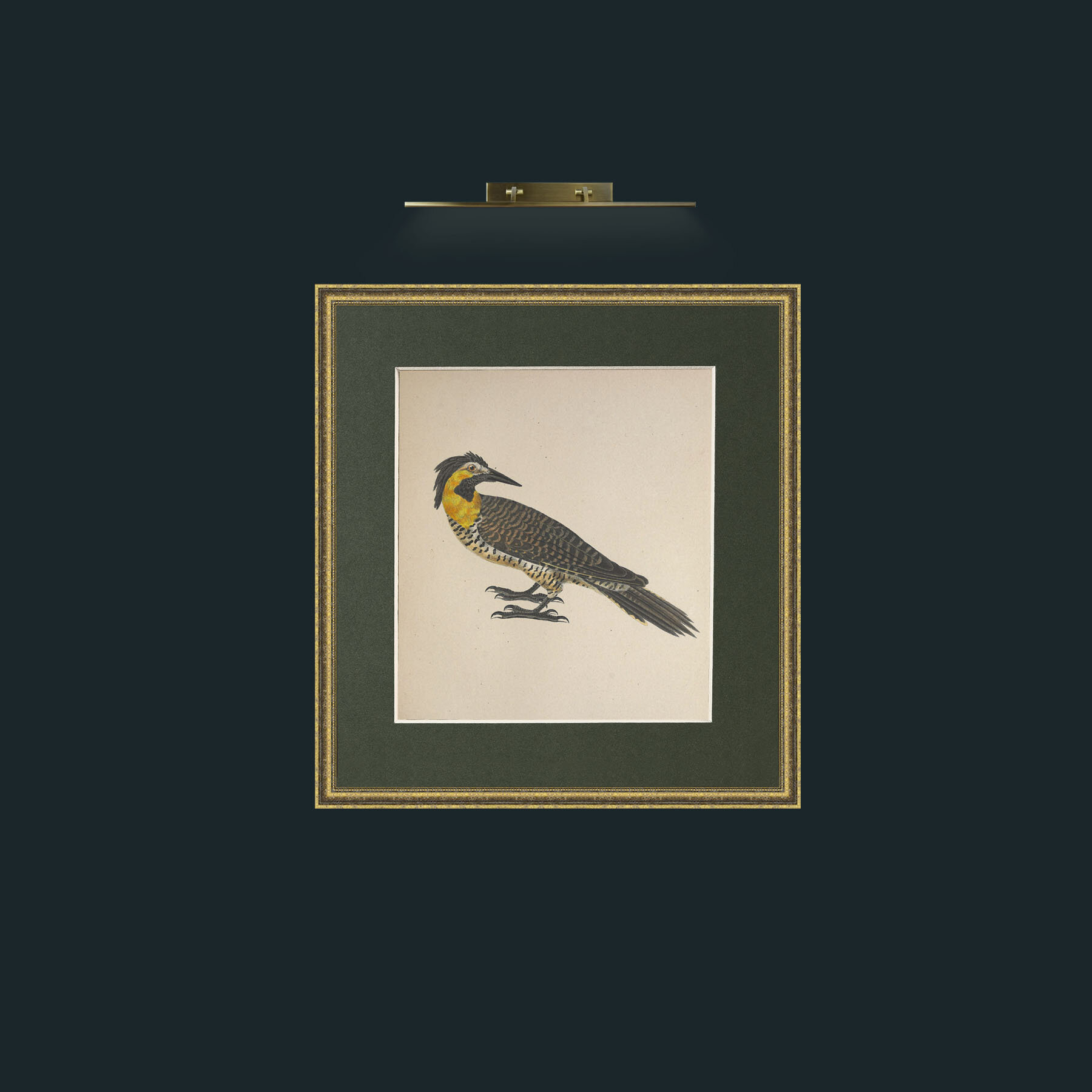 Art-Campestris Picus Frame-1GiltTextured-Mount-2Green-Art-Campestris Picus .jpg