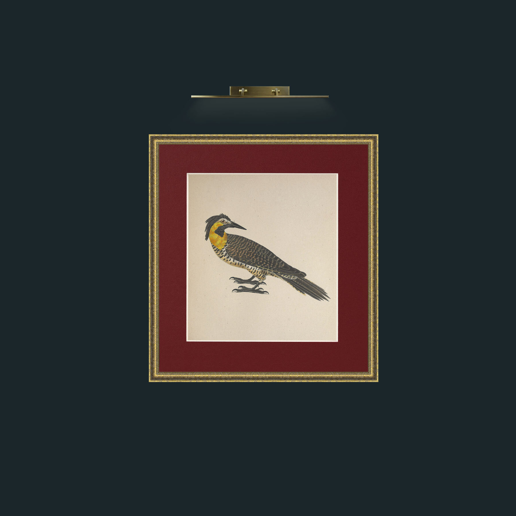 Art-Campestris Picus Frame-1GiltTextured-Mount-4Red-Art-Campestris Picus .jpg