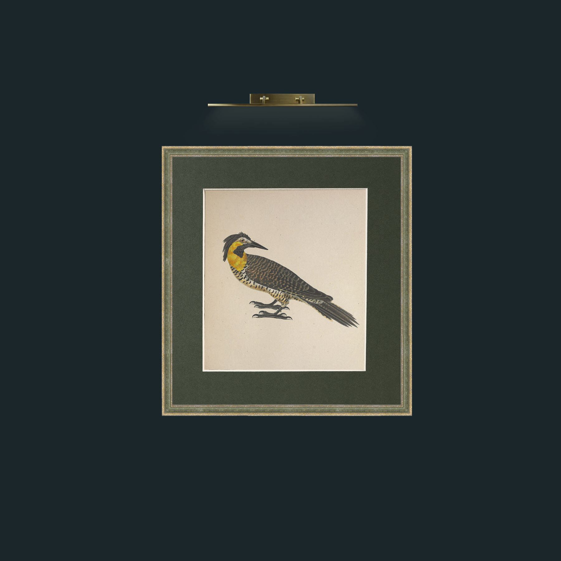 Art-Campestris Picus Frame-2GreenGiltTextured-Mount-2Green-Art-Campestris Picus .jpg
