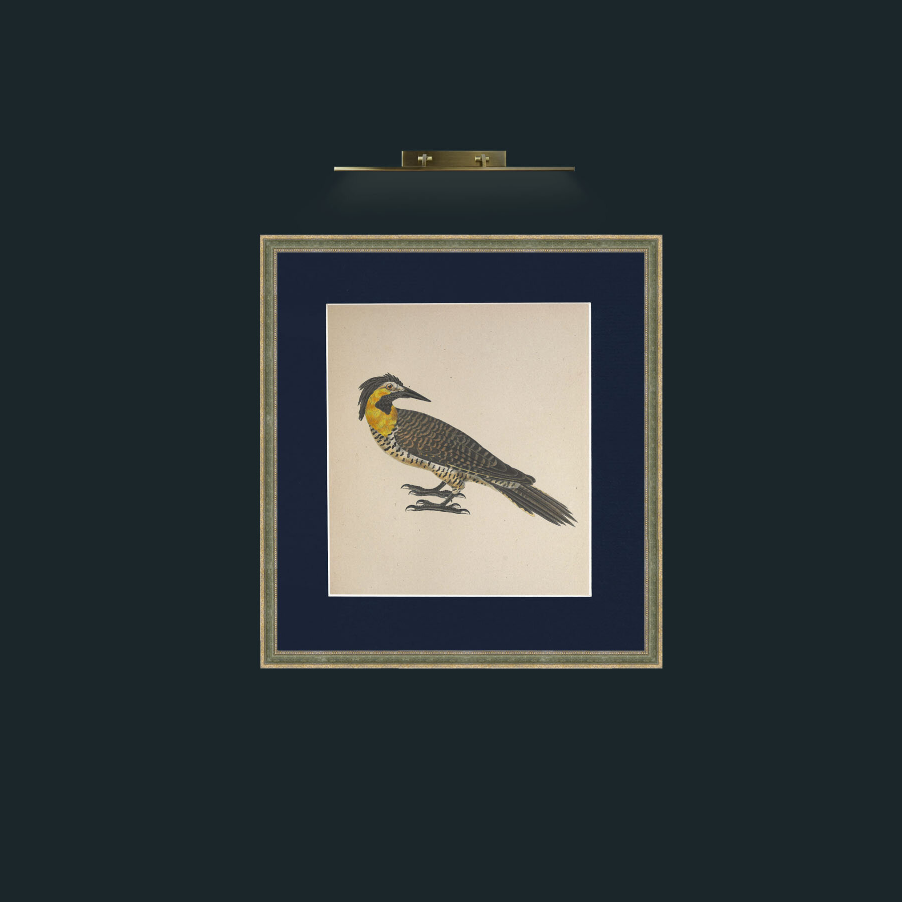 Art-Campestris Picus Frame-2GreenGiltTextured-Mount-3Blue-Art-Campestris Picus .jpg