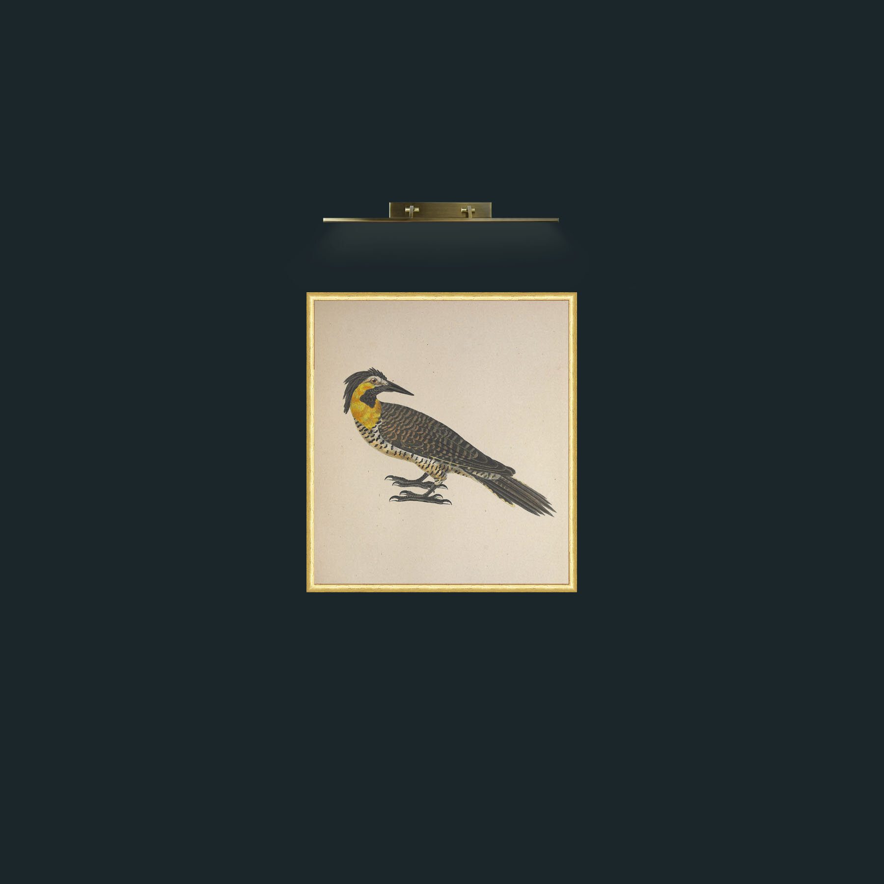 Art-Campestris Picus Frame-3RoundedGilt-Art-Campestris Picus .jpg