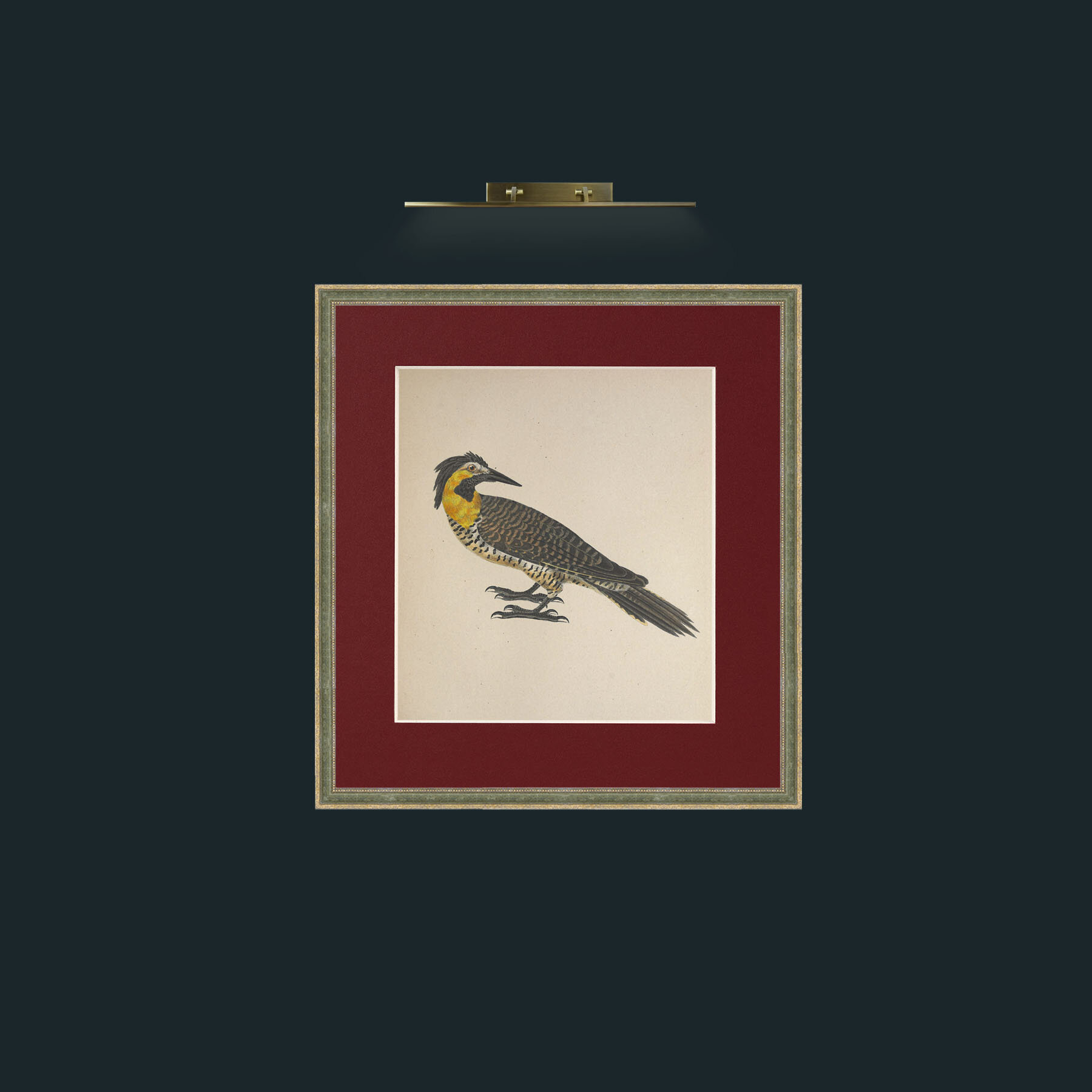 Art-Campestris Picus Frame-2GreenGiltTextured-Mount-4Red-Art-Campestris Picus .jpg