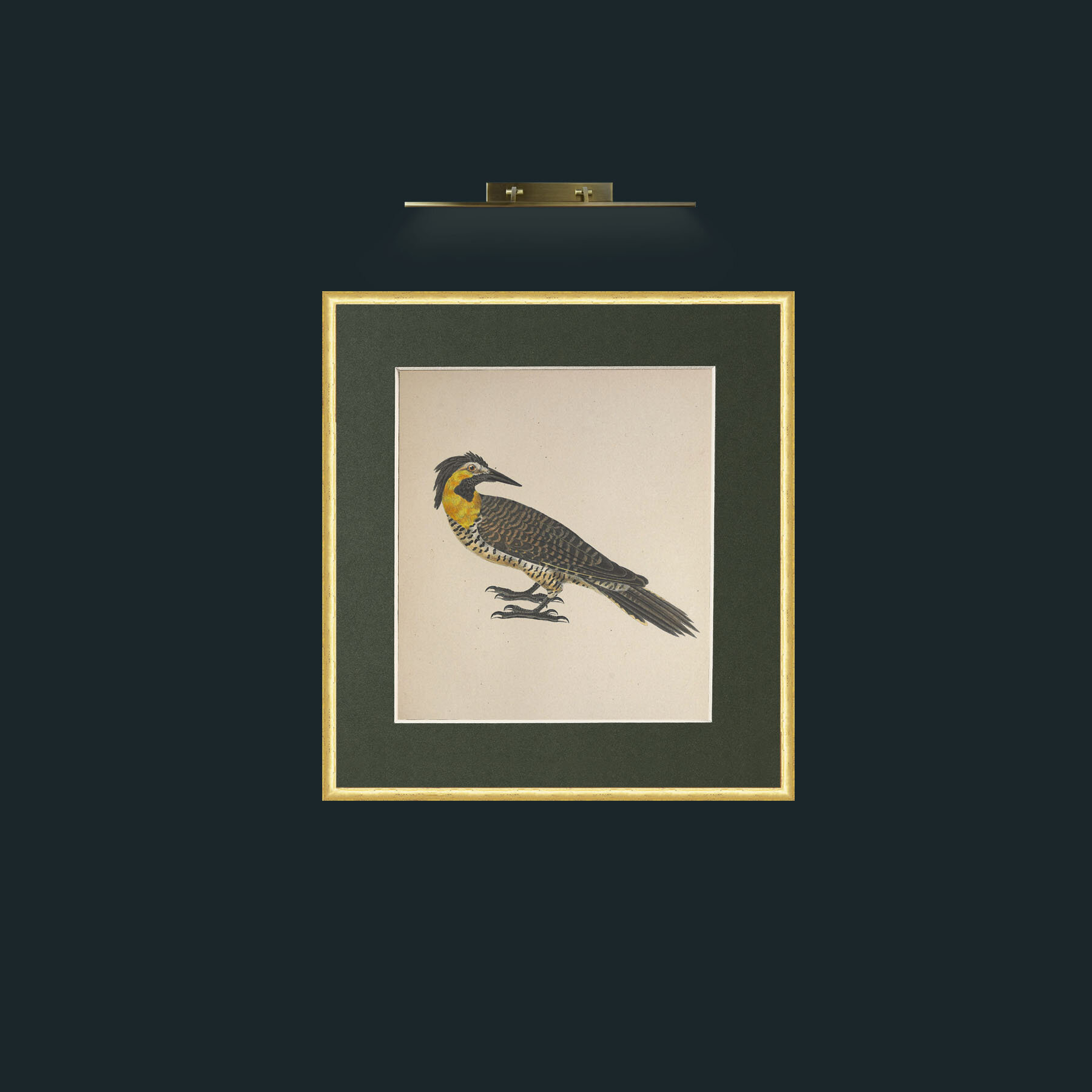 Art-Campestris Picus Frame-3RoundedGilt-Mount-2Green-Art-Campestris Picus .jpg