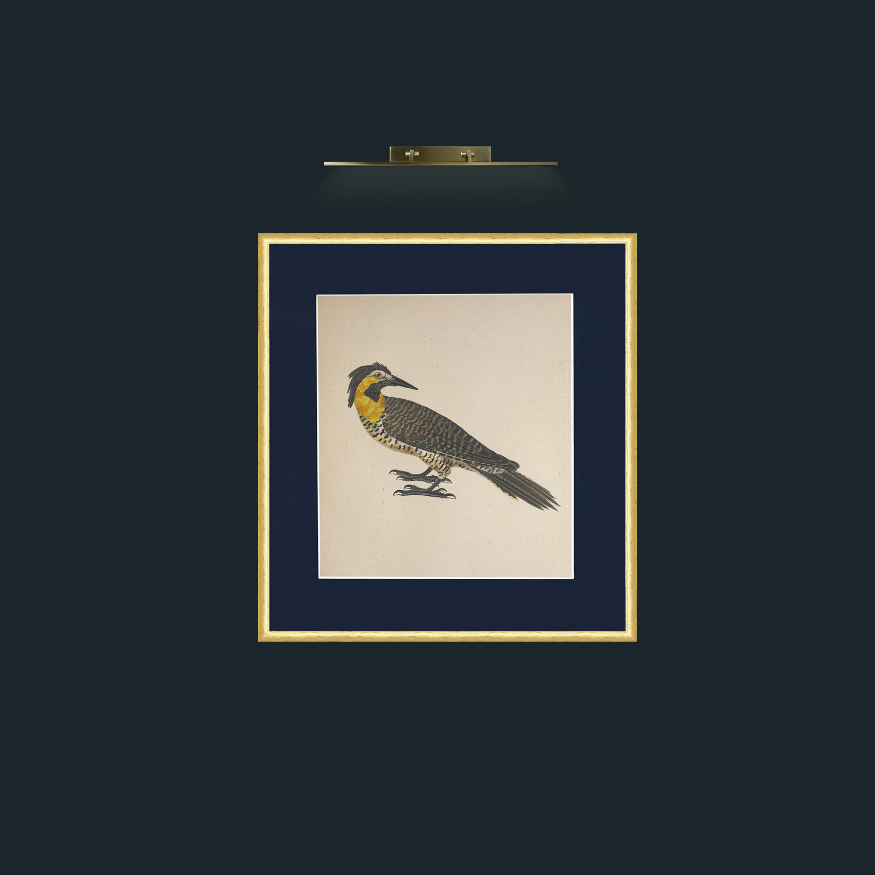 Art-Campestris Picus Frame-3RoundedGilt-Mount-3Blue-Art-Campestris Picus .jpg