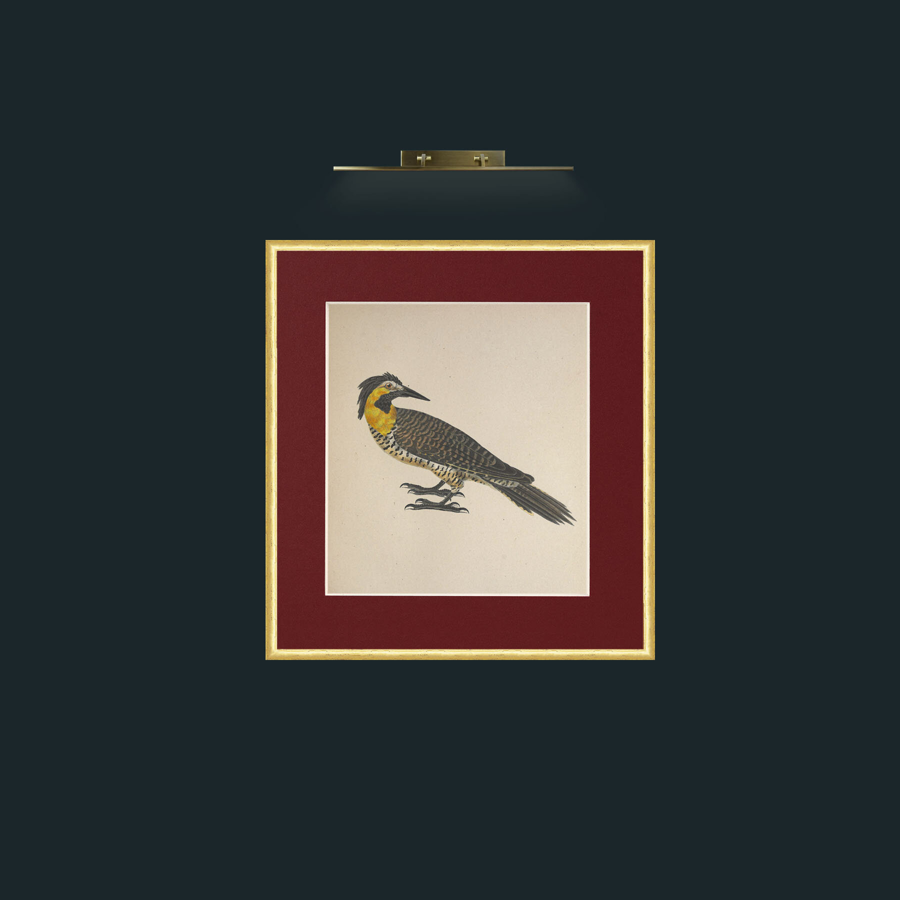 Art-Campestris Picus Frame-3RoundedGilt-Mount-4Red-Art-Campestris Picus .jpg