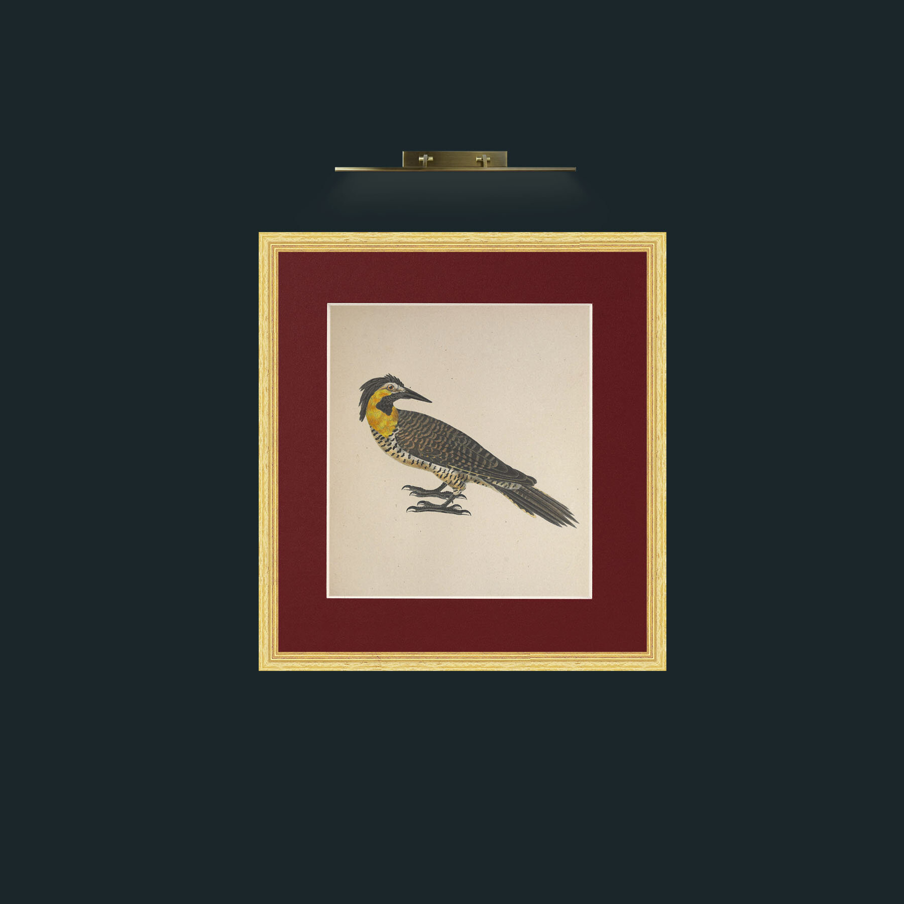 Art-Campestris Picus Frame-4BevelledGilt-Mount-4Red-Art-Campestris Picus .jpg