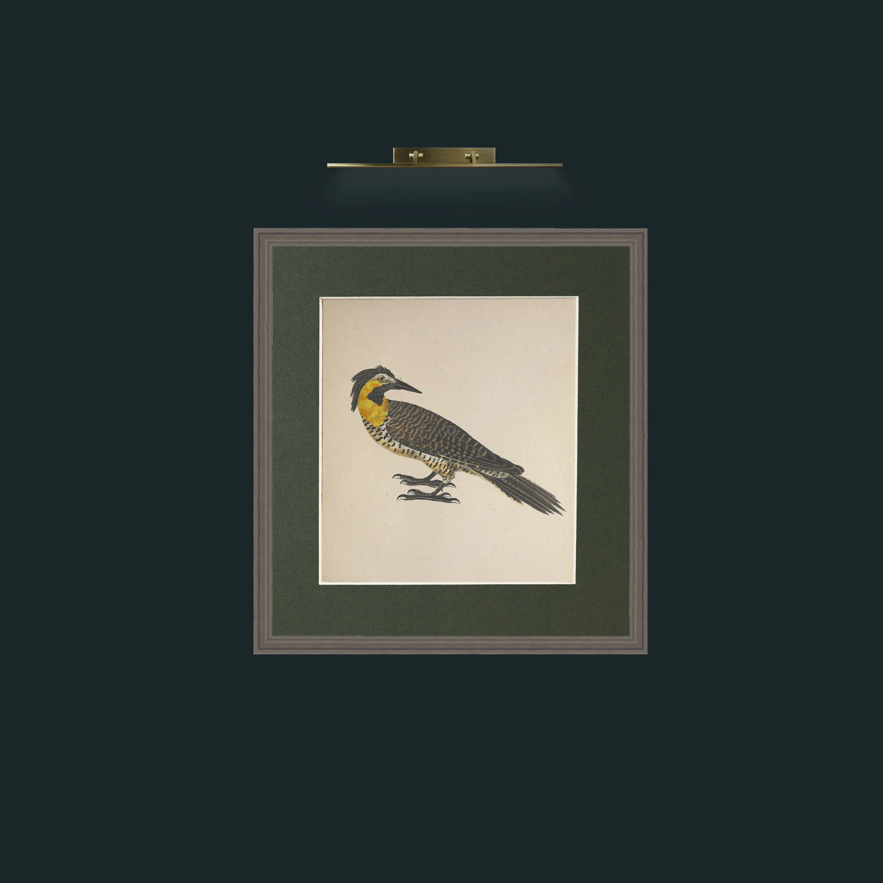 Art-Campestris Picus Frame-6Grey-Mount-2Green-Art-Campestris Picus .jpg